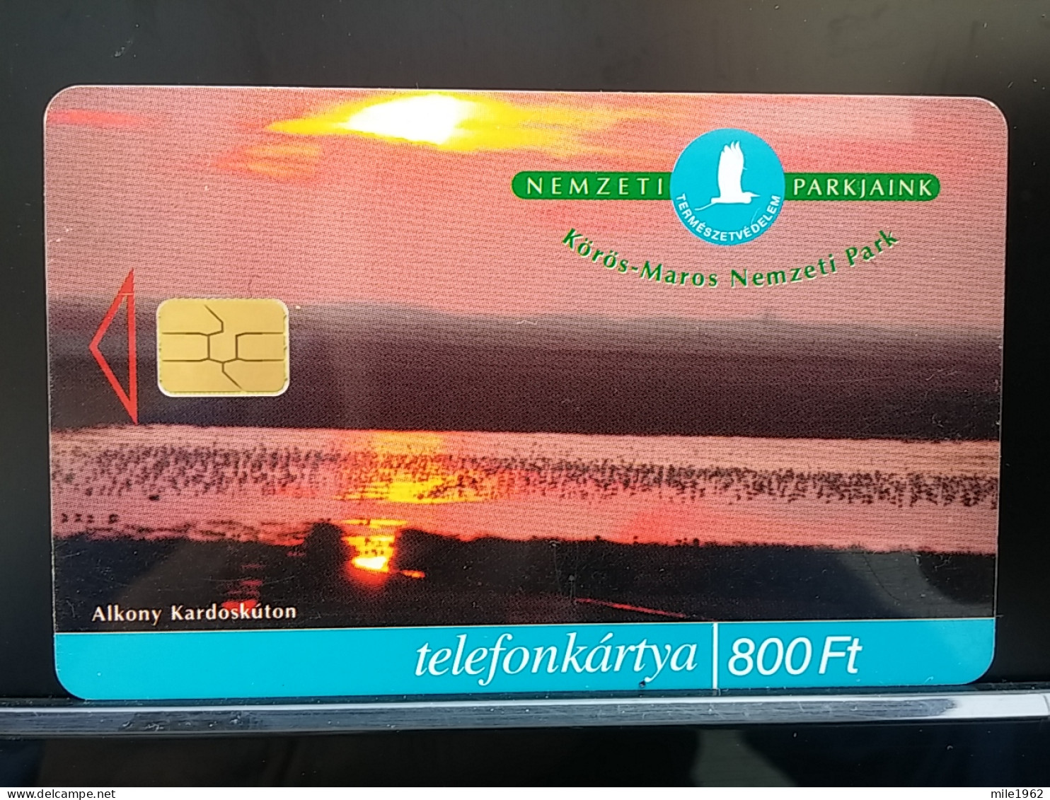 T-272 - HUNGARY, TELECARD, PHONECARD, FLOWER, FLEUR - Hungary