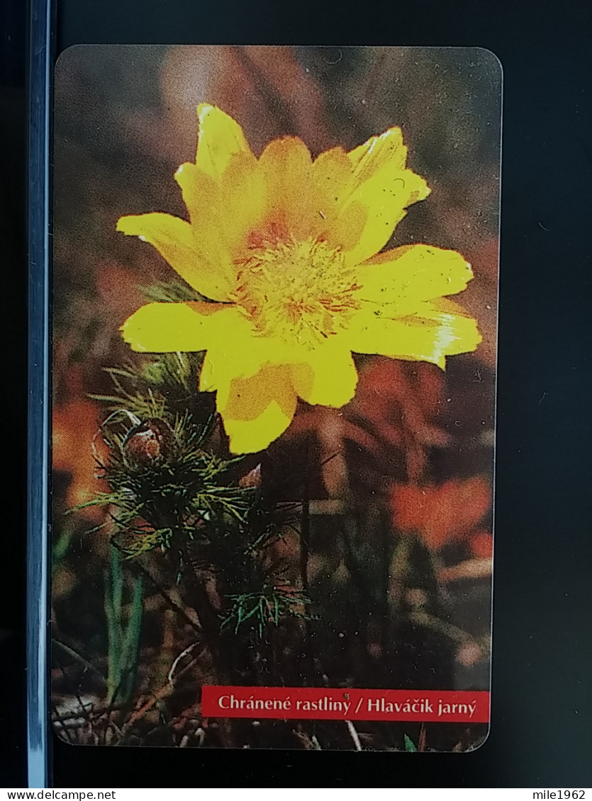 T-272 - SLOVAKIA, TELECARD, PHONECARD, FLOWER, FLEUR,  - Slovaquie