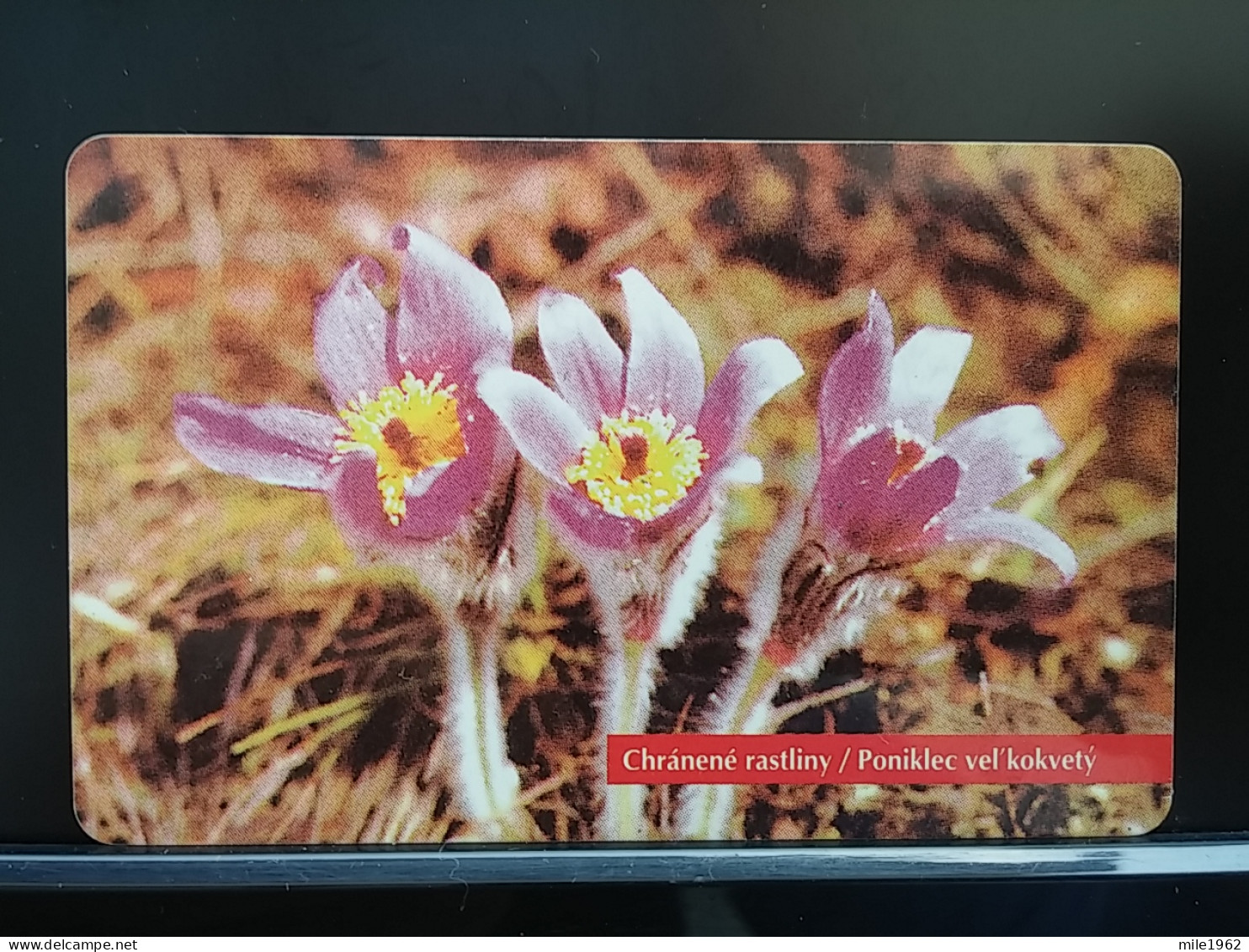 T-272 - SLOVAKIA, TELECARD, PHONECARD, FLOWER, FLEUR,  - Slowakije