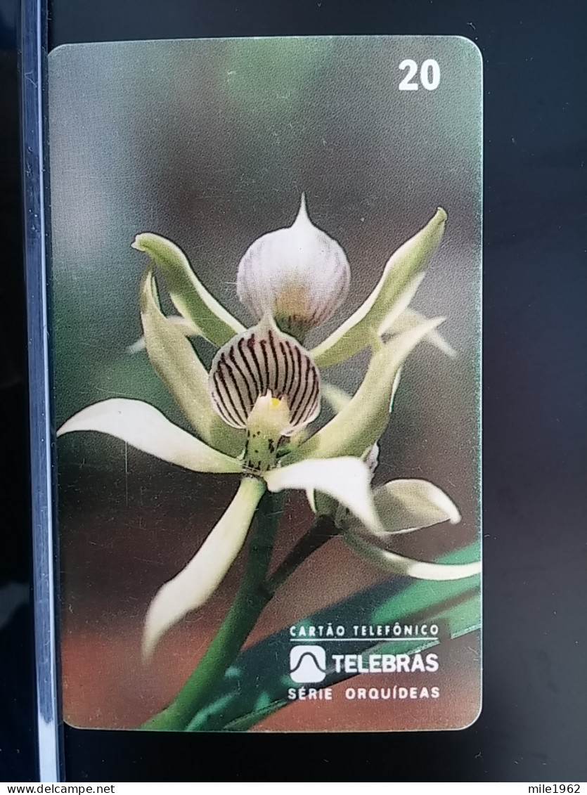 T-273 - BRASIL, BRAZIL, TELECARD, PHONECARD, FLOWER, FLEUR,  - Brésil