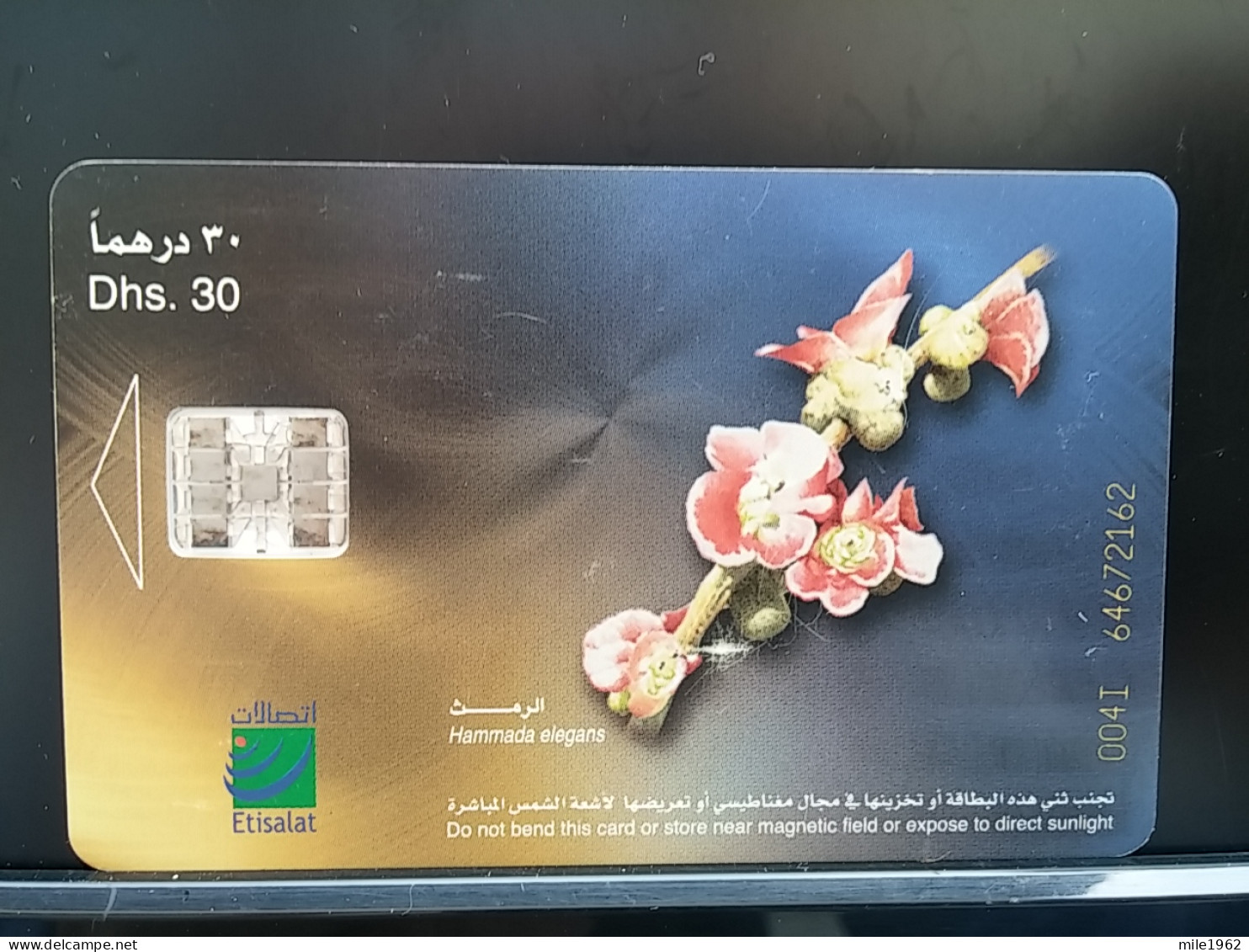 T-273 - UAE, TELECARD, PHONECARD, FLOWER, FLEUR,  - Emirats Arabes Unis