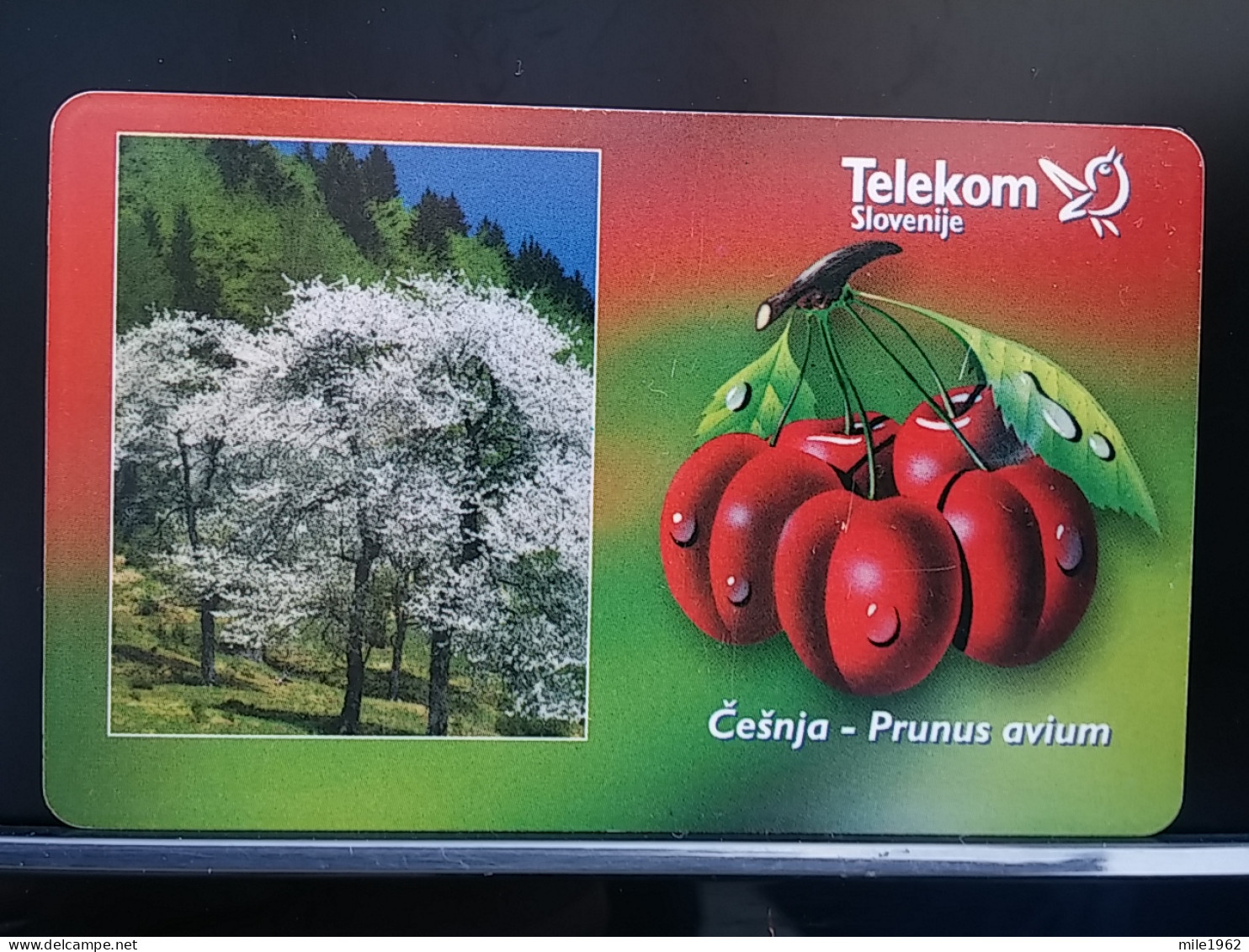 T-274 - SLOVENIA TELECARD, PHONECARD, CESNJA, FLOWER, FLEUR - Slovenia