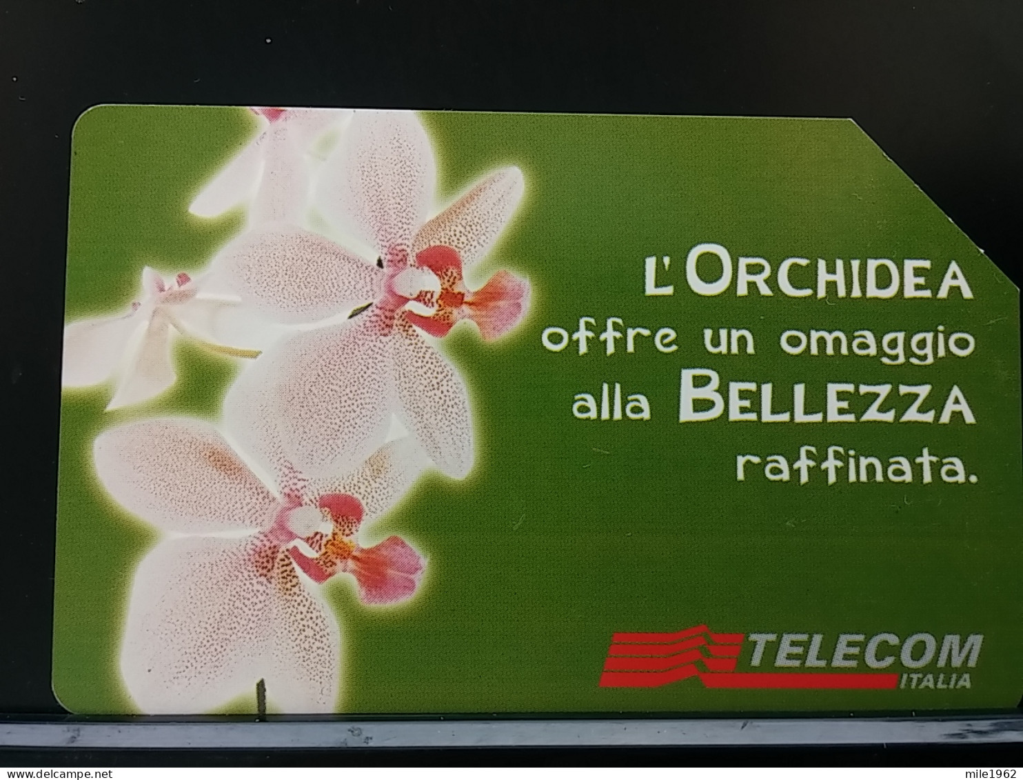 T-276 - ITALIA, ITALY, TELECARD, PHONECARD, FLOWER, FLEUR,  - Altri & Non Classificati