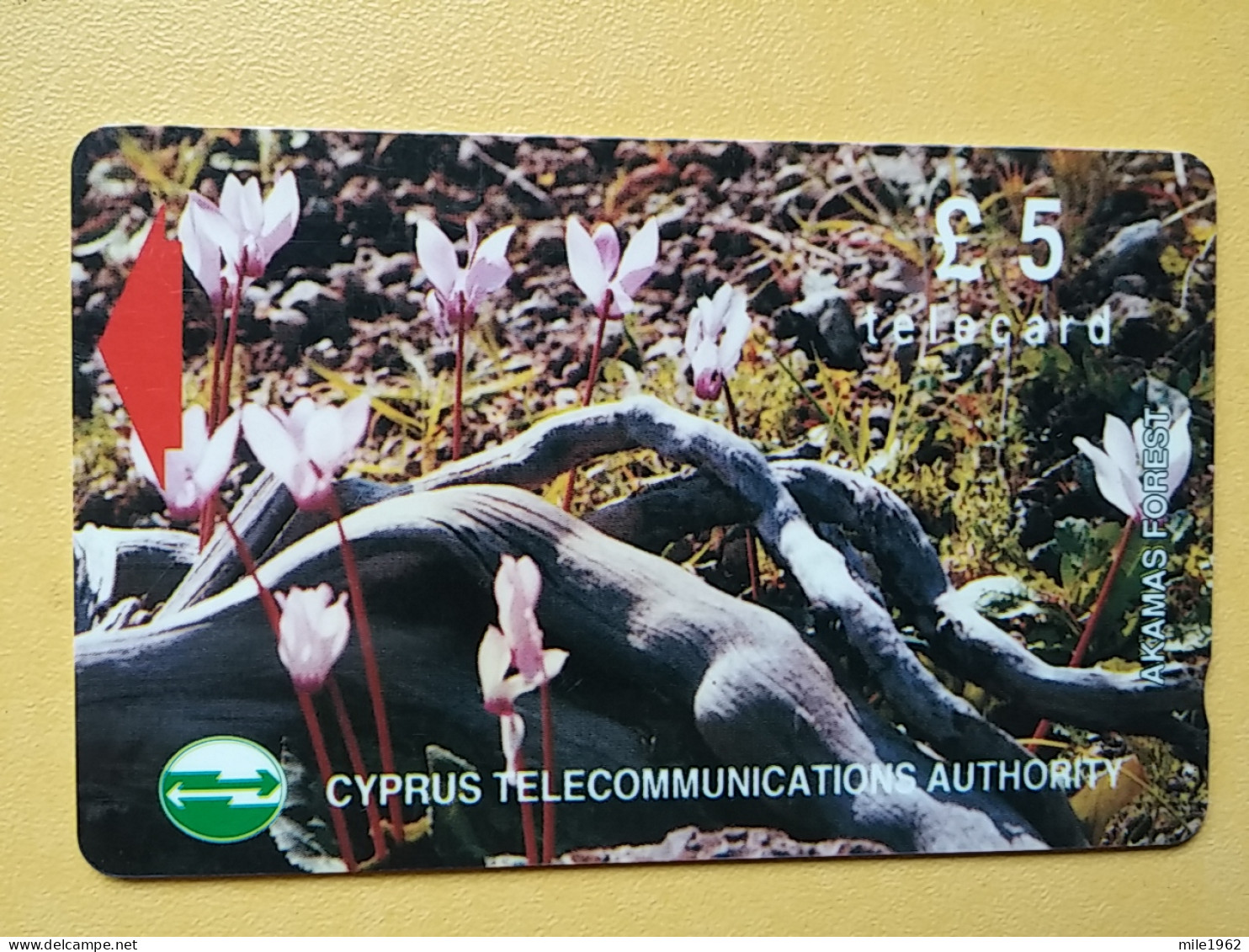 T-277 - CYPRUS TELECARD, PHONECARD, FLOWER, FLEUR,  - Cyprus