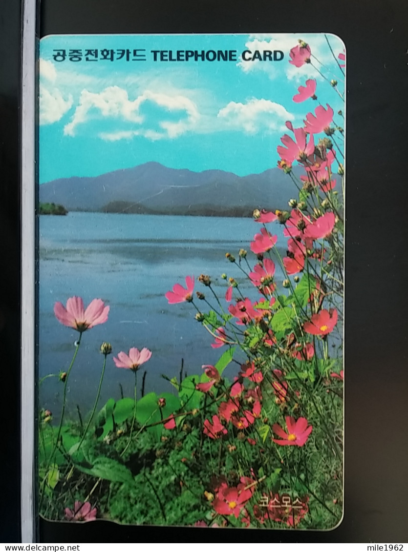 T-278 - KOREA, TELECARD, PHONECARD, FLOWER, FLEUR, - Korea (Zuid)