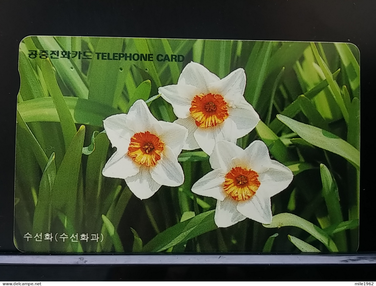 T-278 - KOREA, TELECARD, PHONECARD, FLOWER, FLEUR, - Corea Del Sur