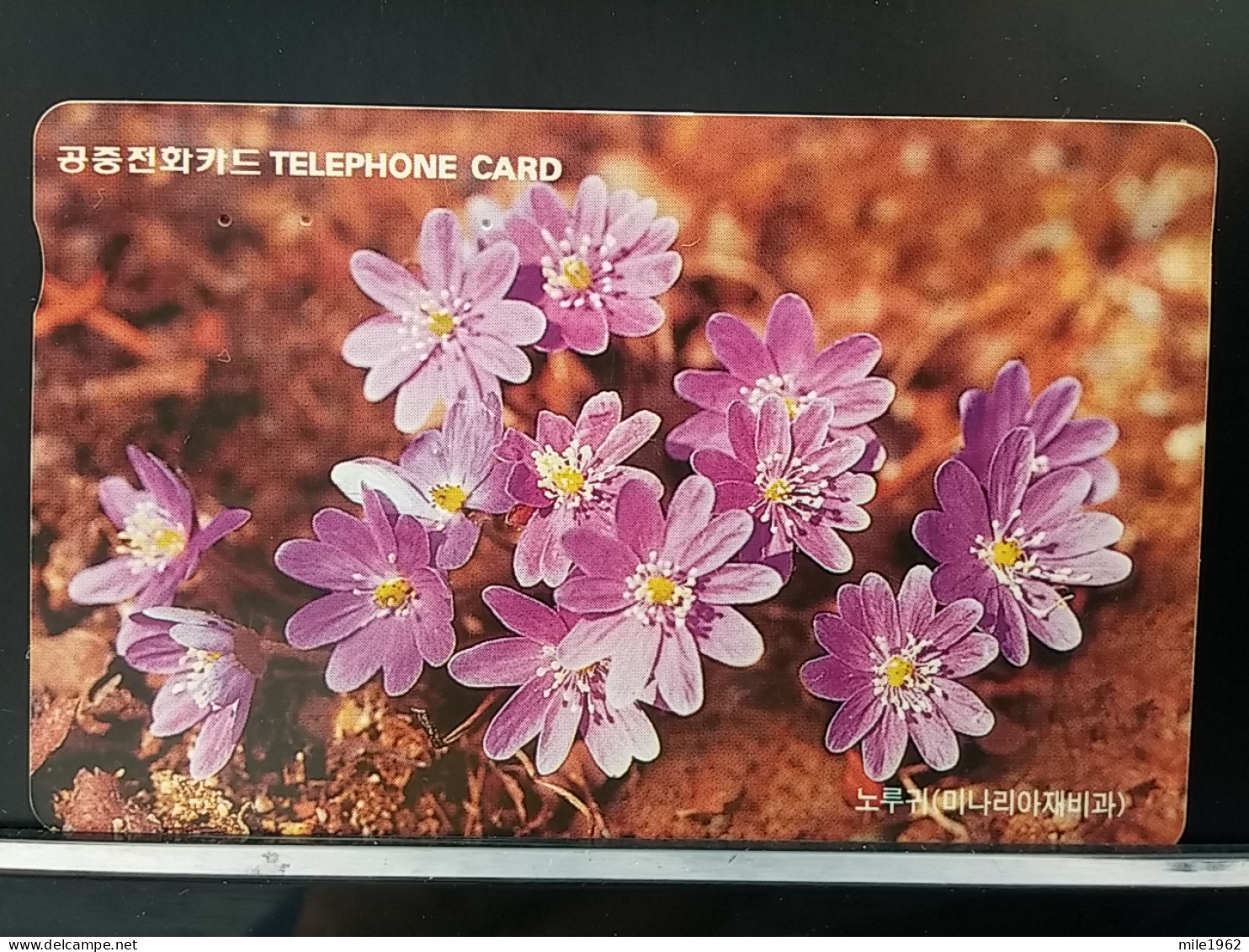 T-279 - KOREA, TELECARD, PHONECARD, FLOWER, FLEUR, - Korea (Süd)