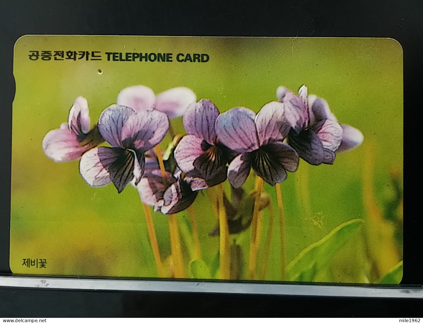 T-279 - KOREA, TELECARD, PHONECARD, FLOWER, FLEUR, - Korea (Süd)