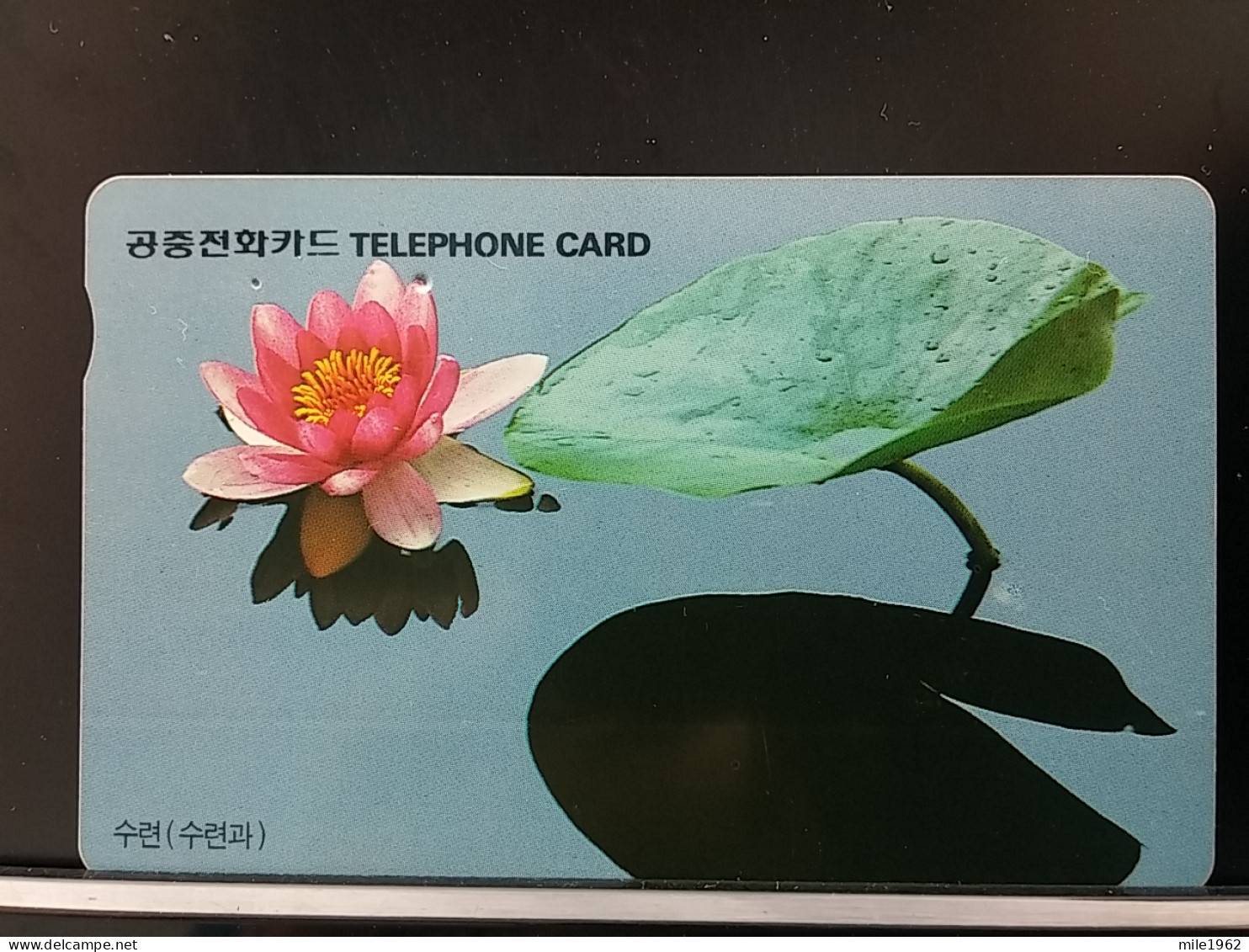 T-279 - KOREA, TELECARD, PHONECARD, FLOWER, FLEUR, - Corea Del Sur