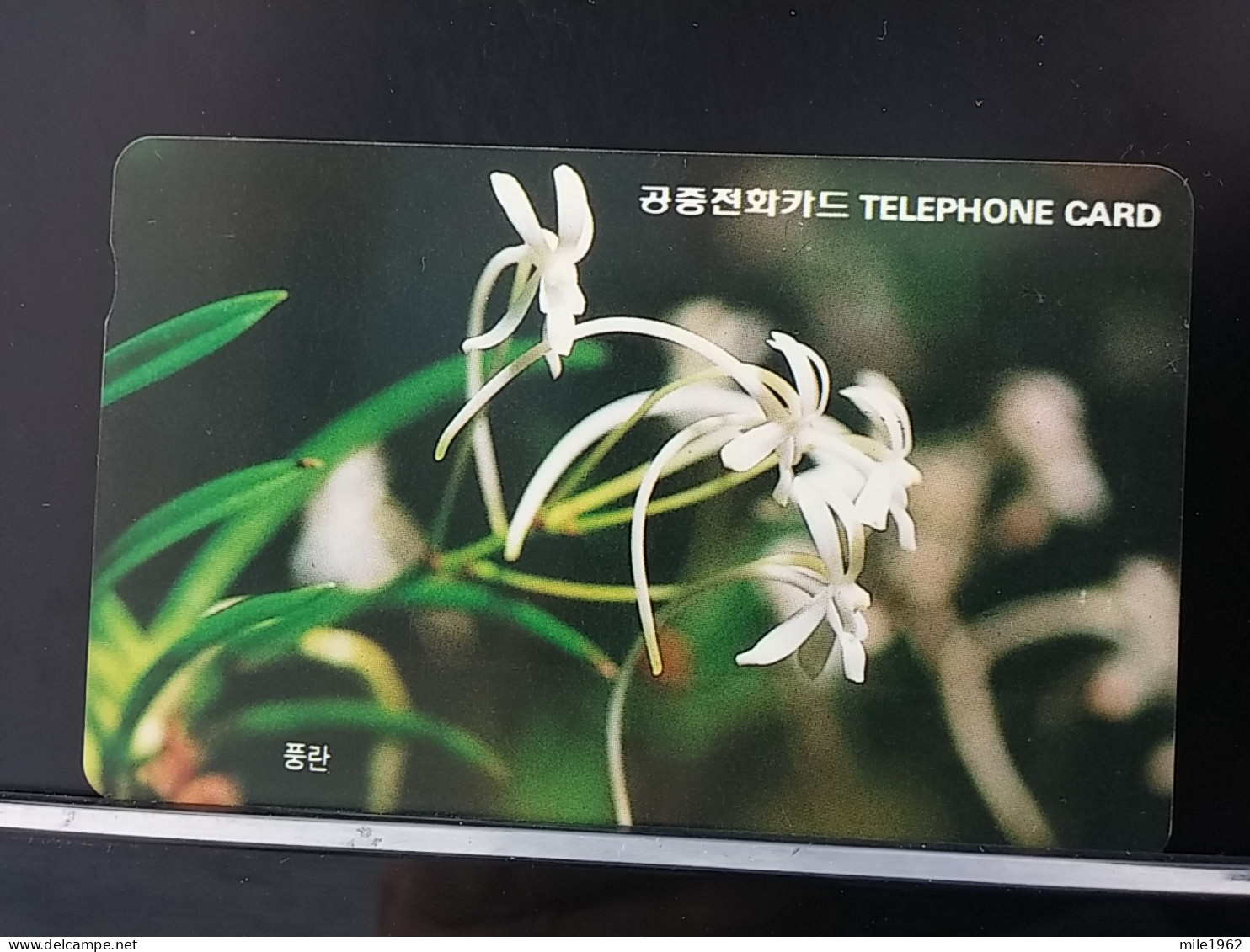 T-279 - KOREA, TELECARD, PHONECARD, FLOWER, FLEUR, - Korea (Süd)