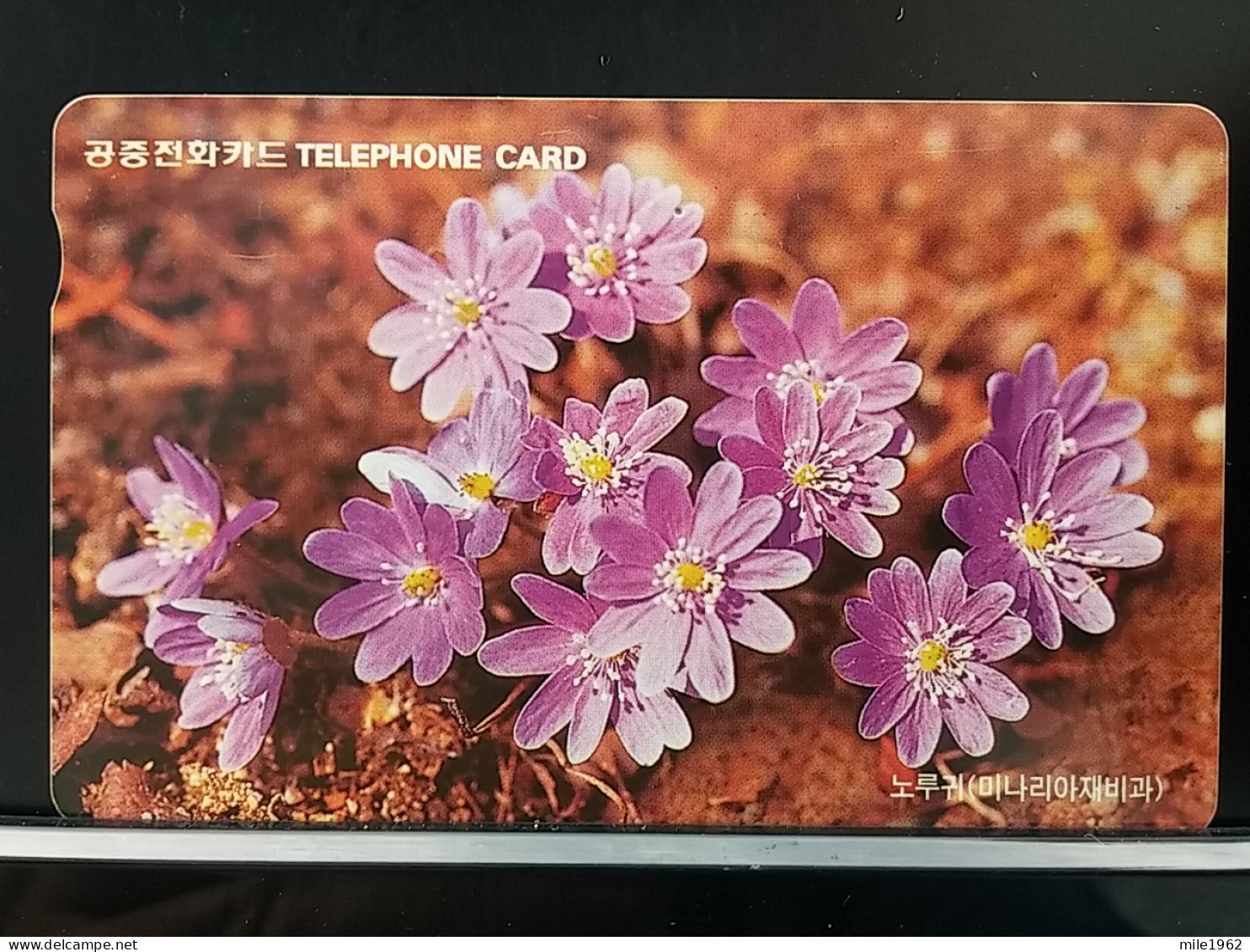 T-279 - KOREA, TELECARD, PHONECARD, FLOWER, FLEUR, - Korea (Zuid)