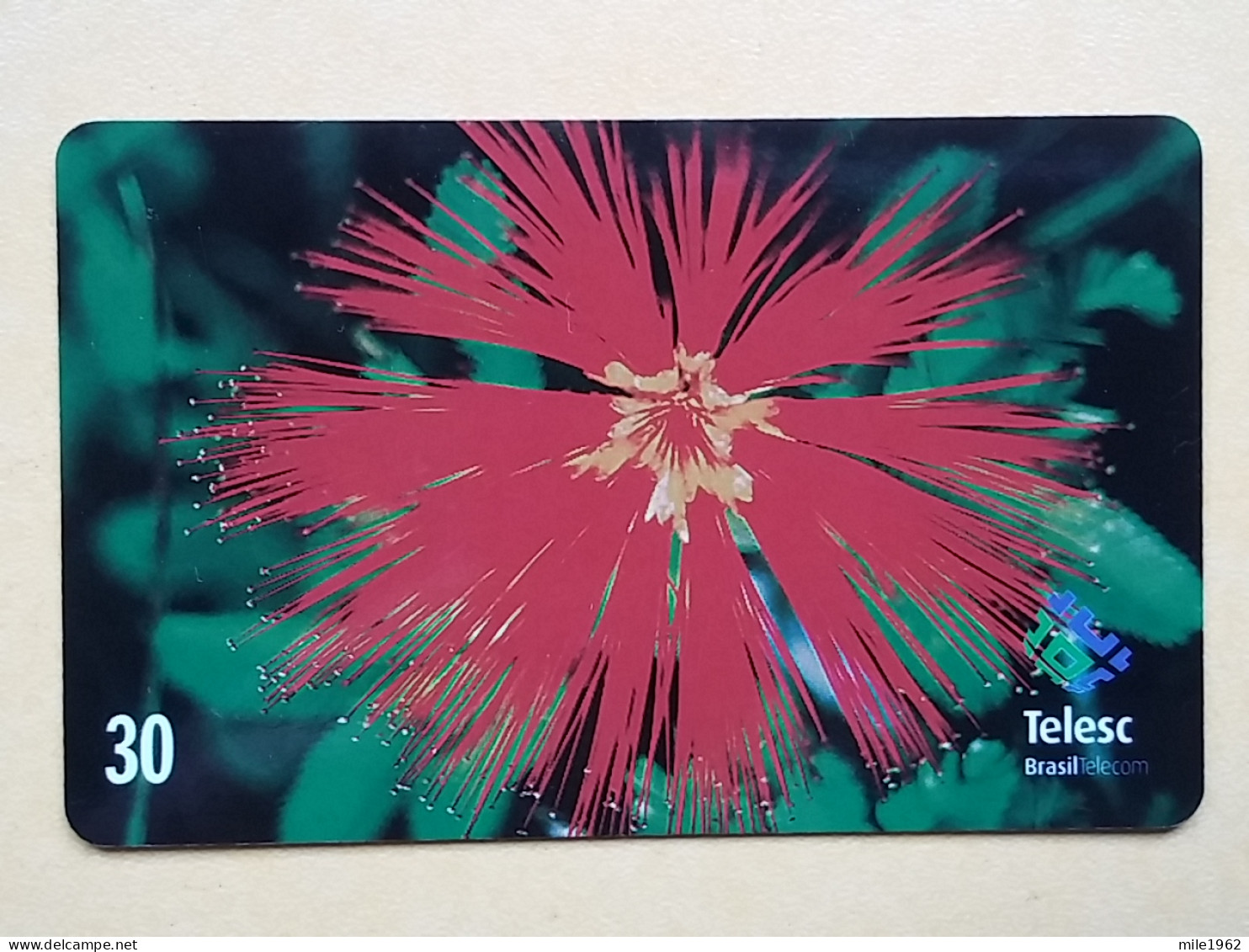 T-280 - BRASIL, BRAZIL TELECARD, PHONECARD, FLOWER, FLEUR,  - Brésil