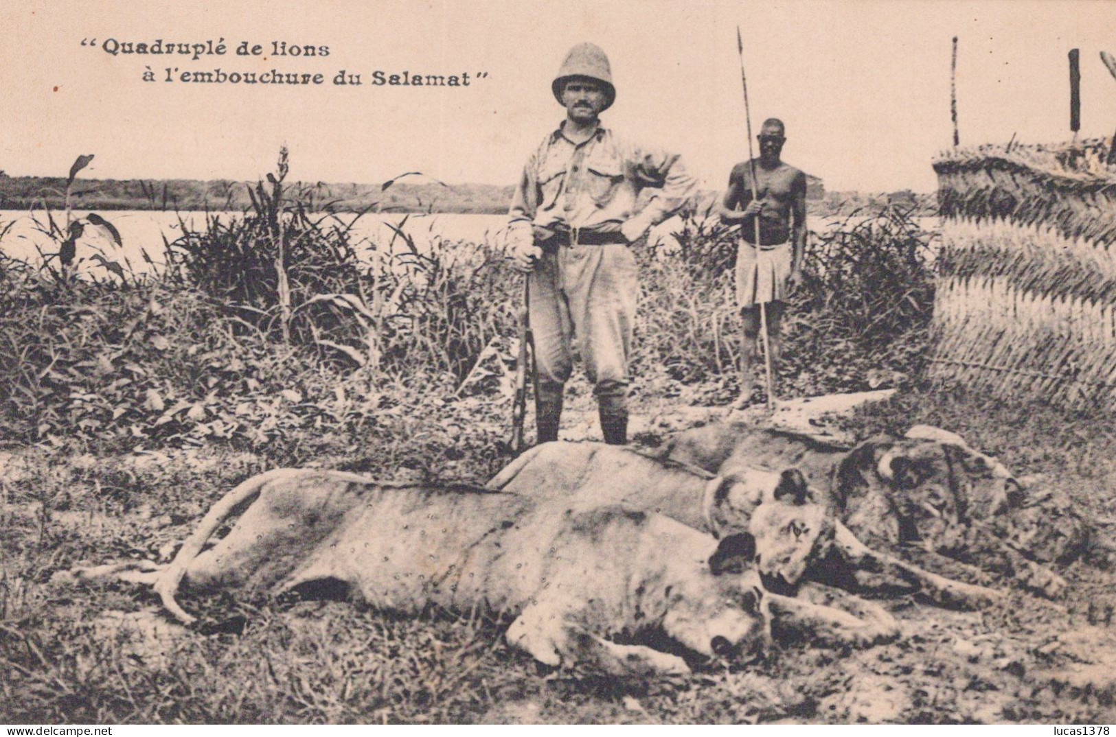 OUBANGUI CHARI / QUADRUPLE DE LIONS A L EMBOUCHURE DU SALAMAT - Centrafricaine (République)