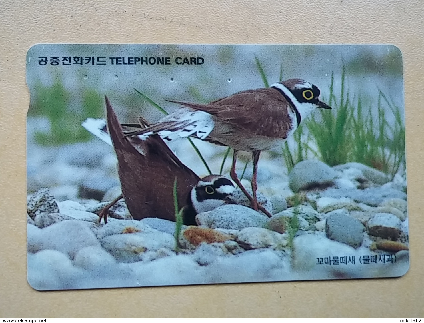 T-284 - KOREA, TELECARD, PHONECARD, BIRD, OISEAU,  - Corea Del Sur