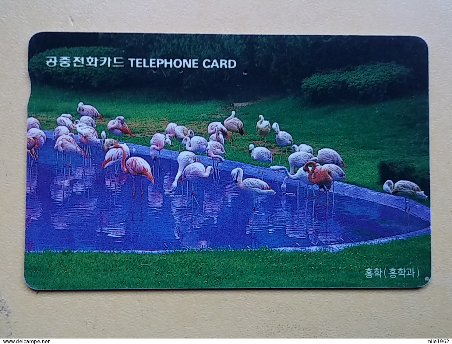 T-284 - KOREA, TELECARD, PHONECARD, BIRD, OISEAU,  - Korea (Zuid)