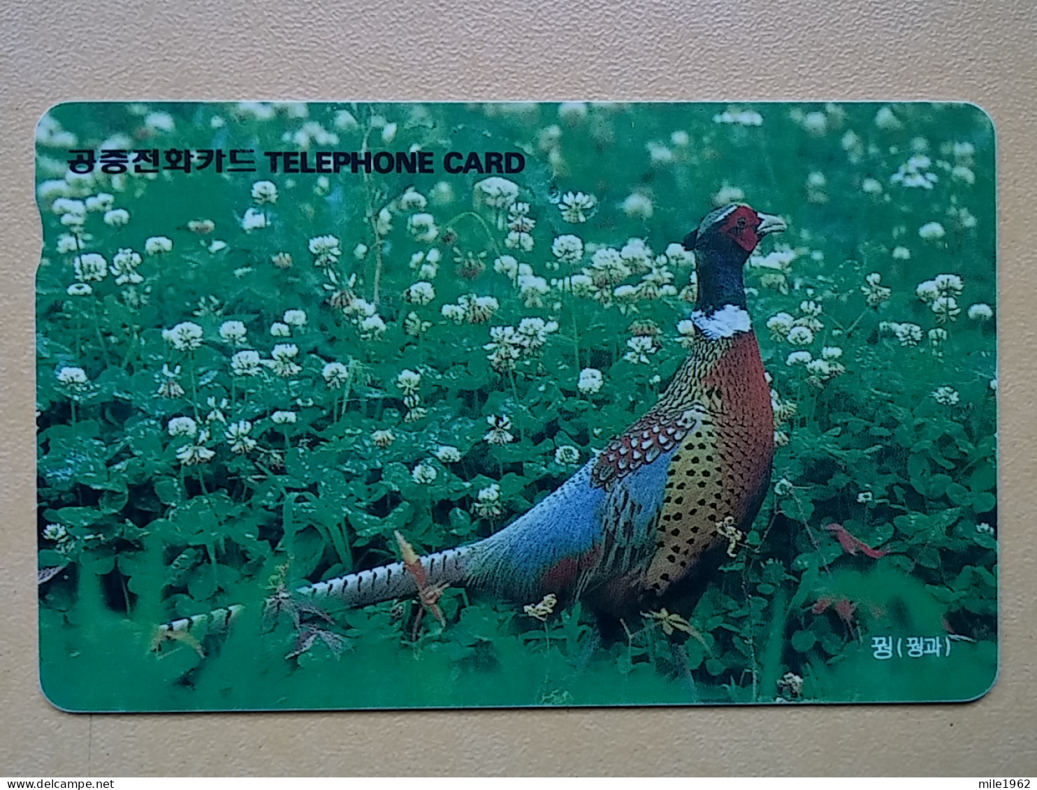 T-284 - KOREA, TELECARD, PHONECARD, BIRD, OISEAU, FAISAN, PHEASANT - Corée Du Sud