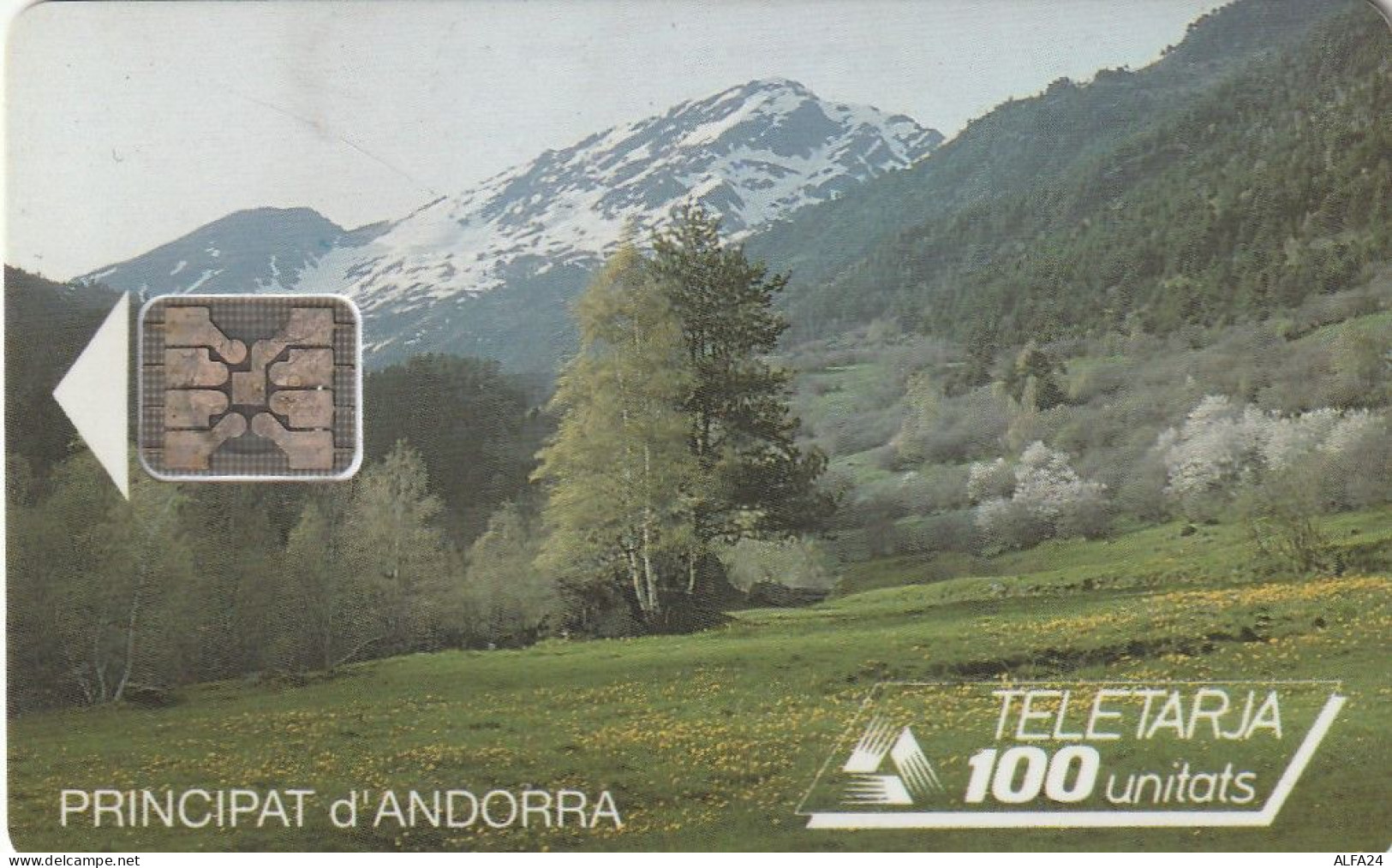 PHONE CARD ANDORRA (E91.11.5 - Andorre