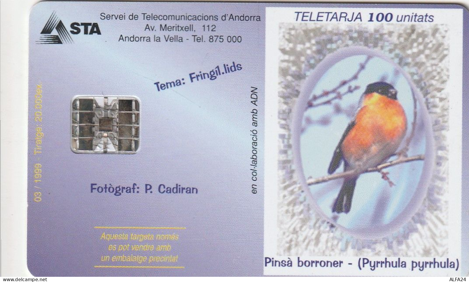 PHONE CARD ANDORRA (E91.9.4 - Andorre