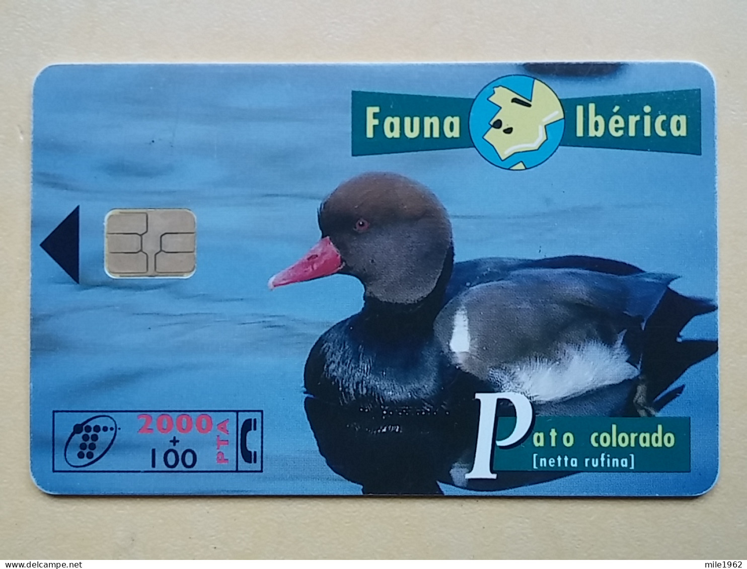 T-285 - ESPANA, SPAIN, TELECARD, PHONECARD, BIRD, OISEAU - Sonstige & Ohne Zuordnung