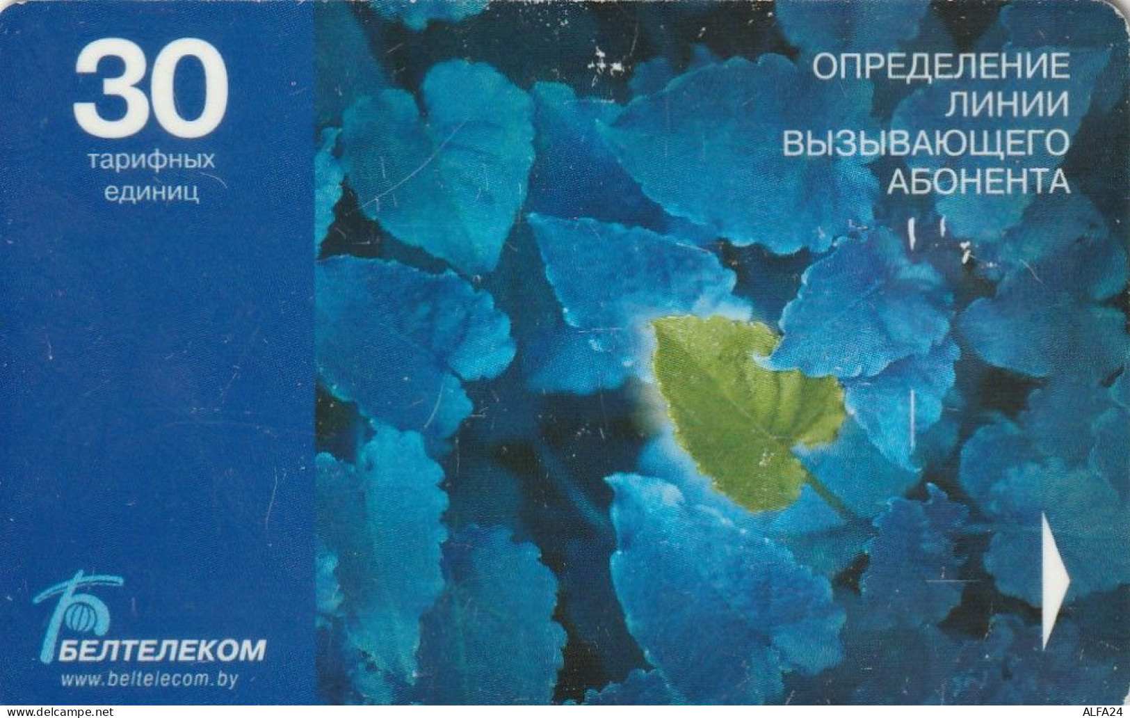 PHONE CARD BIELORUSSIA  (E49.36.1 - Wit-Rusland