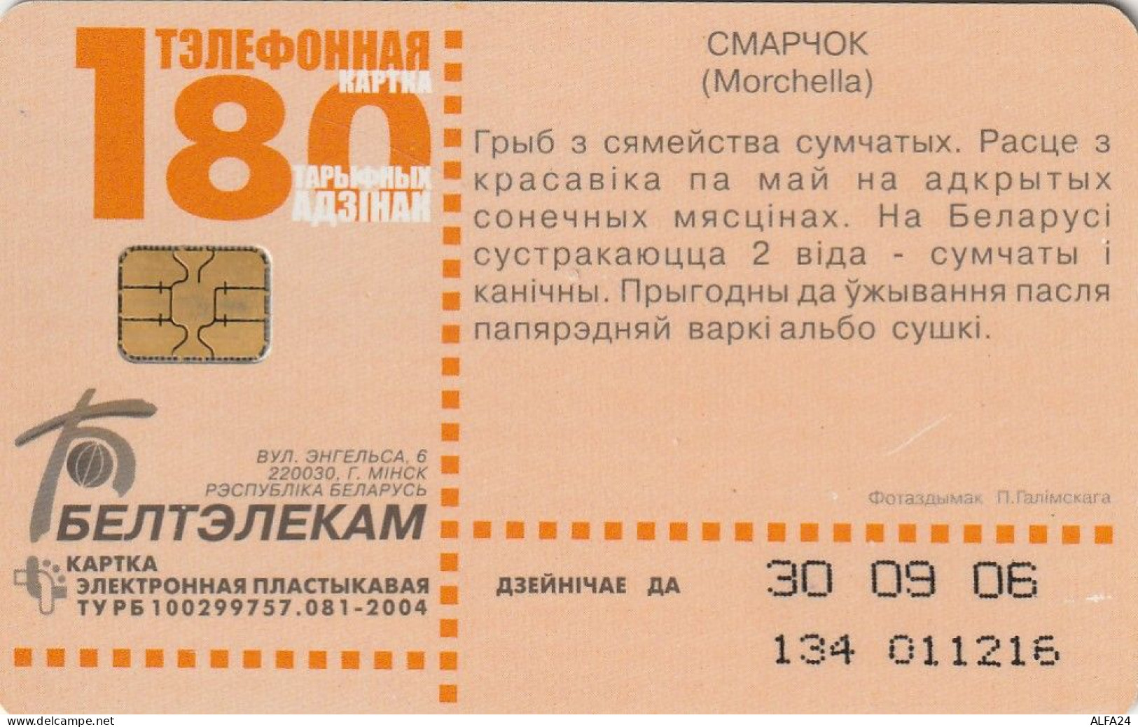 PHONE CARD BIELORUSSIA  (E49.45.6 - Belarús