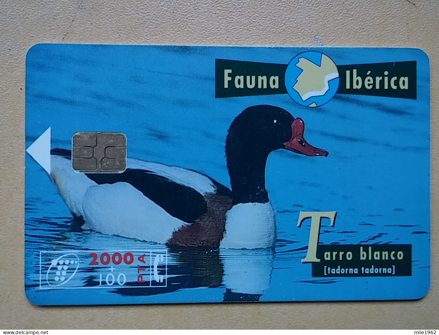 T-285 - ESPANA, SPAIN, TELECARD, PHONECARD, BIRD, OISEAU, - Sonstige & Ohne Zuordnung