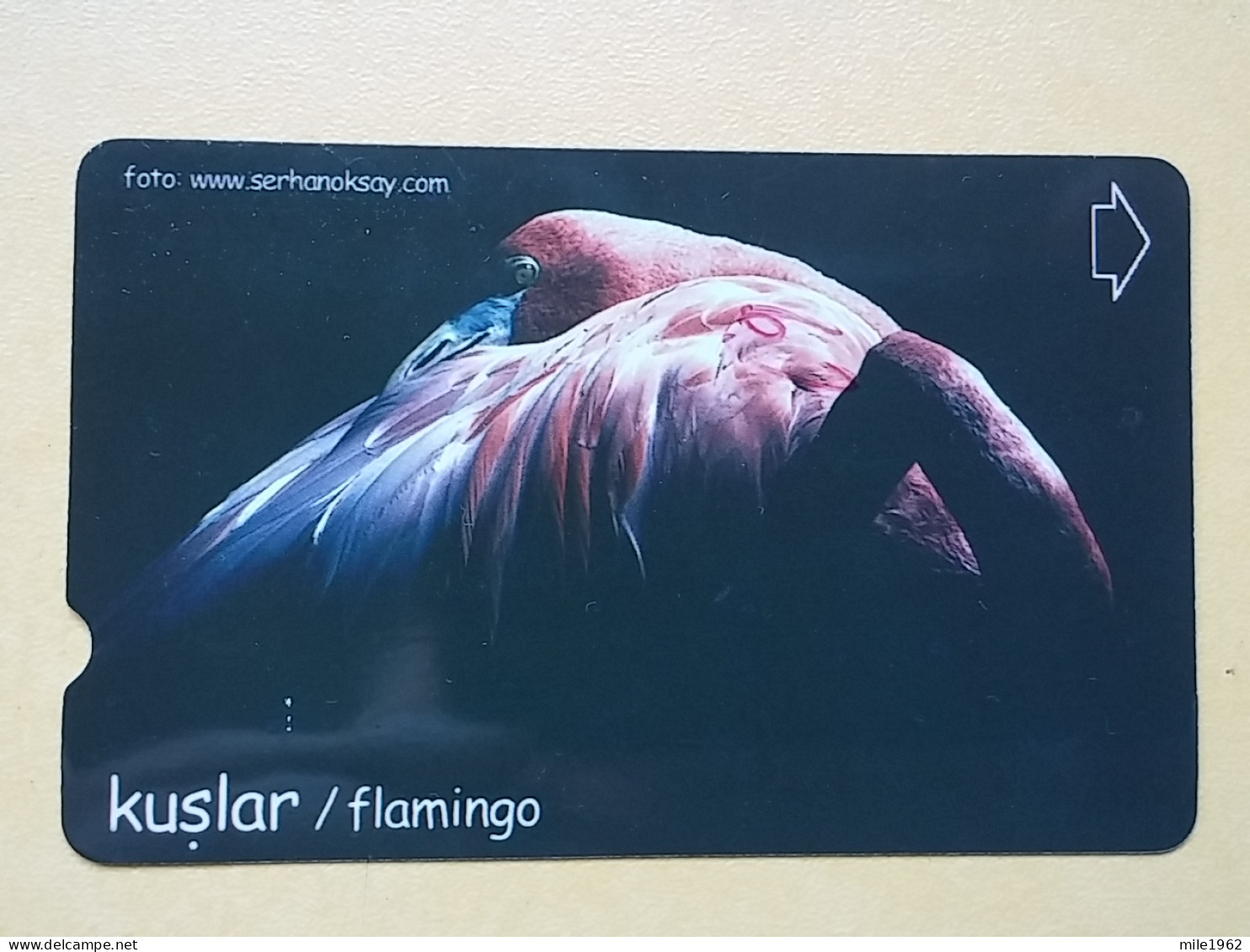 T-285 - TURKEY, TELECARD, PHONECARD, BIRD, OISEAU, FLAMINGO, FLAMENGO - Turchia