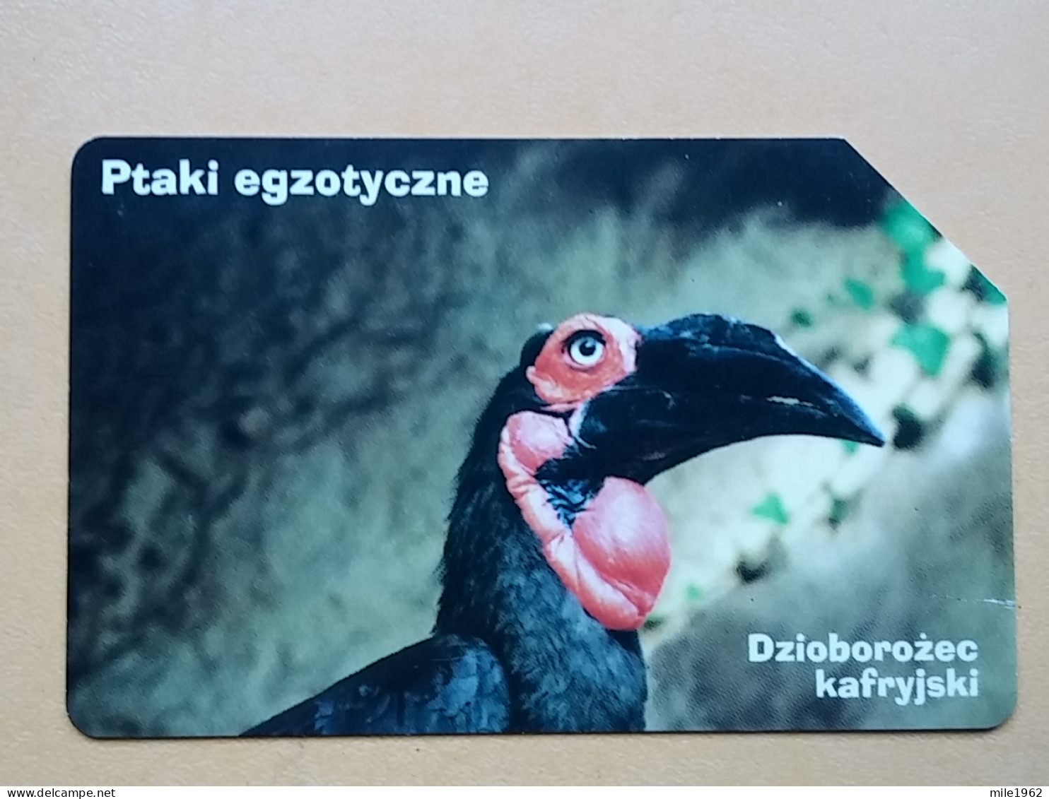 T-286 - POLAND, POLSKA, TELECARD, PHONECARD, BIRD, OISEAU,  - Pologne