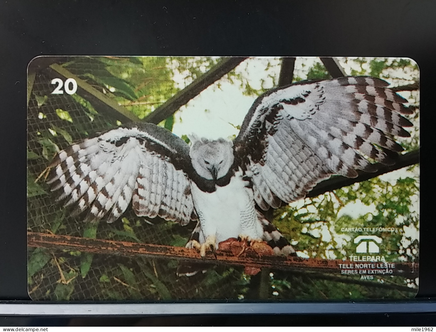 T-288 - BRASIL , BRAZIL TELECARD, PHONECARD, BIRD, OISEAU,  OWL, HIBOU - Brasile