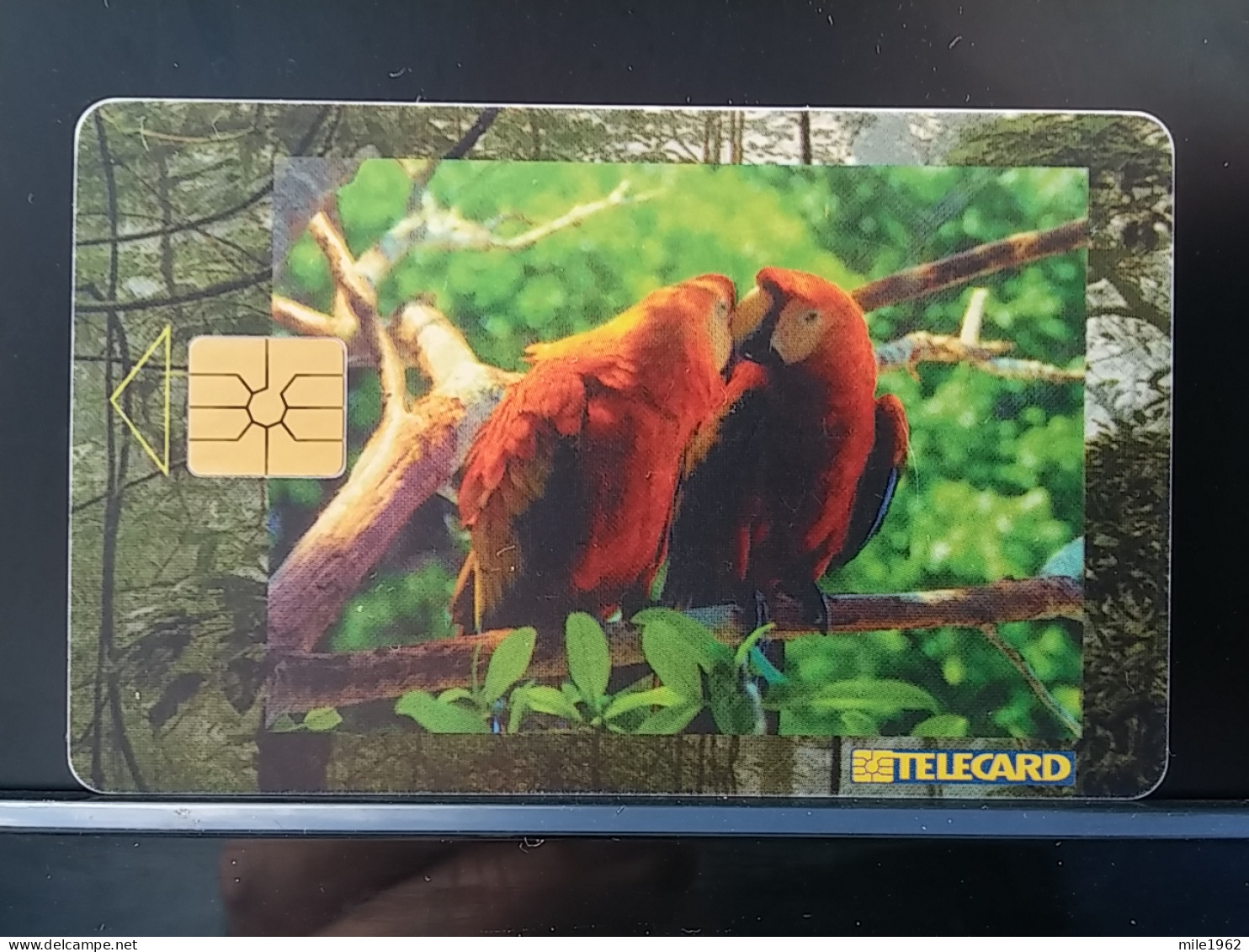 T-289 - CZECH TELECARD, PHONECARD, BIRD, OISEAU, PERROQUET, PARROT, PAPILLON, BUTTERFLY - Czech Republic