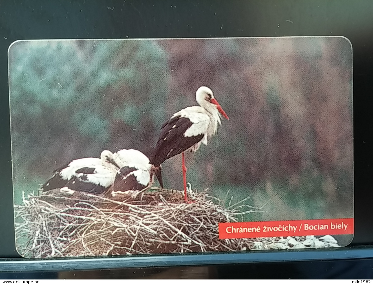 T-289 - SLOVAKIA TELECARD, PHONECARD, BIRD, OISEAU, STORK, CIGOGNE - Slowakije