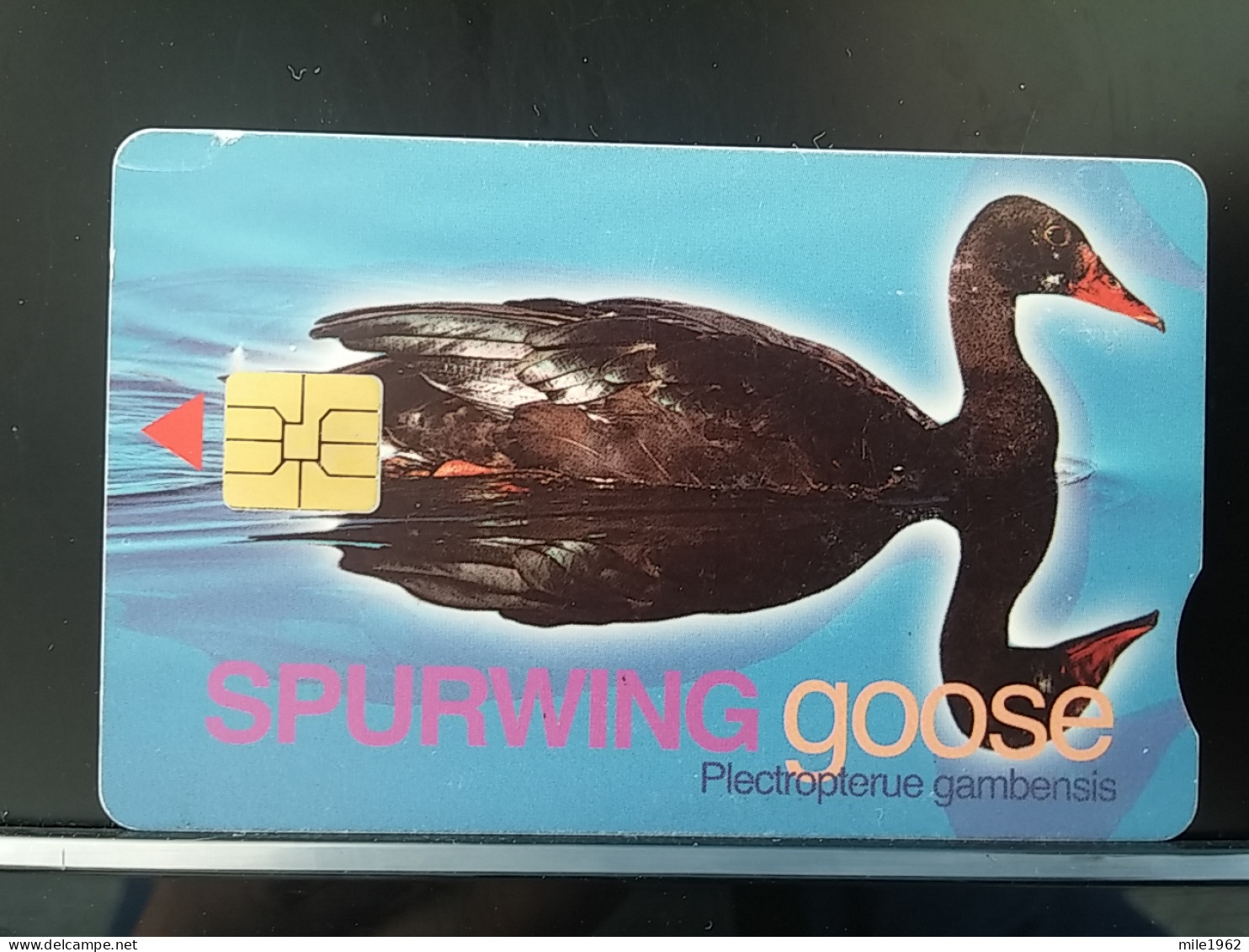 T-290 - SOUTH AFRICA TELECARD, PHONECARD, BIRD, OISEAU, SWAN - Sudafrica