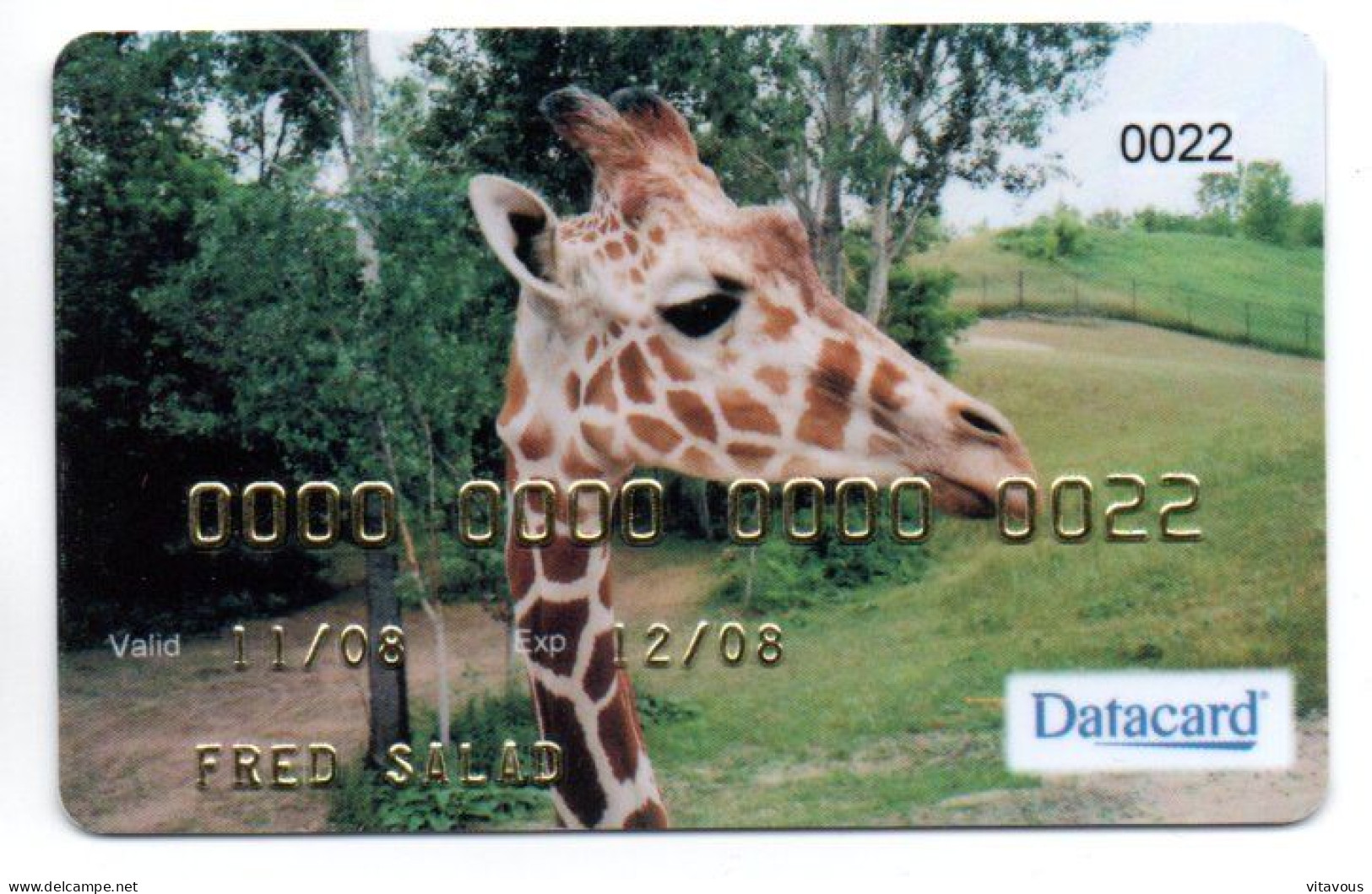 Girafe Carte Spécimen Démonstration  DATACARD France Card Karte (R 805) - Cartes De Salon Et Démonstration