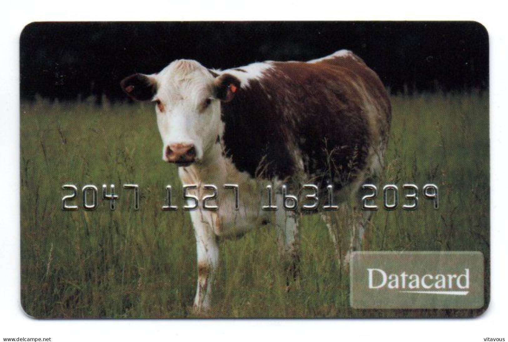 Vache  Carte Spécimen Démonstration  DATACARD France Card Karte (R 807) - Badge Di Eventi E Manifestazioni