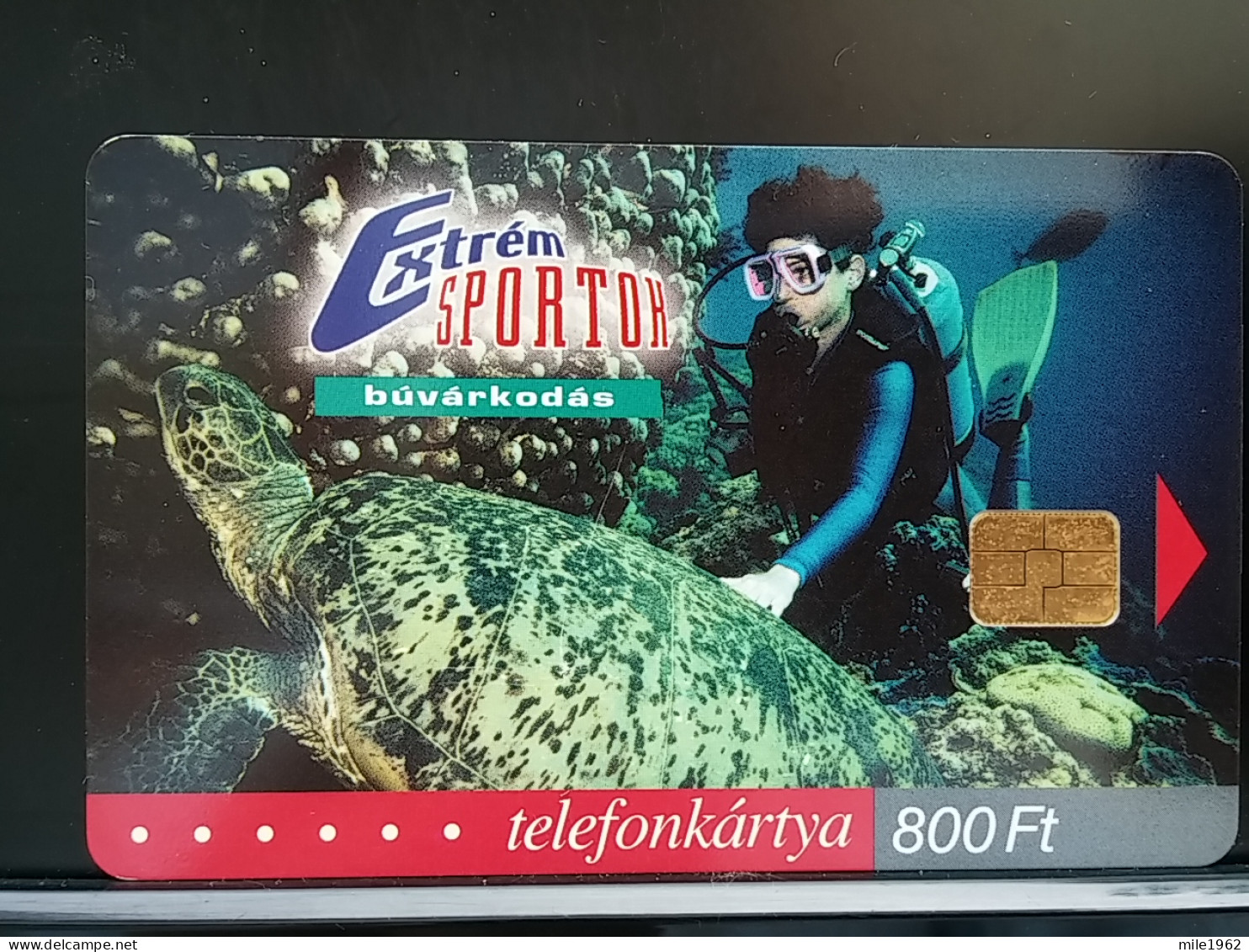 T-298 - HUNGARY, TELECARD, PHONECARD, TURTLES, TORTUES, EXTREME SPORT, PLONGÉE, DIVING - Hungary