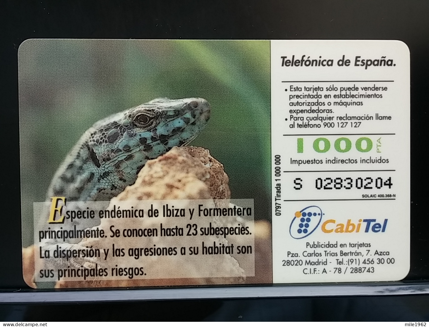 T-298 - SPAIN, ESPANA TELECARD, PHONECARD, Lézard, LIZARD - Altri & Non Classificati