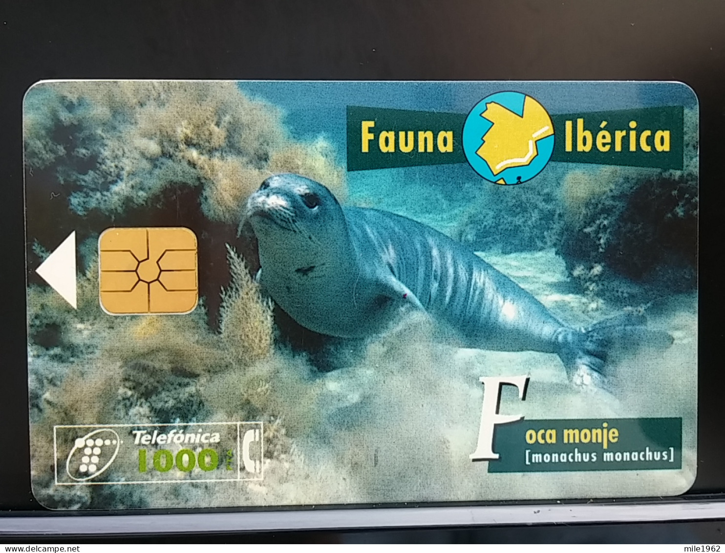 T-298 - SPAIN, ESPANA, TELECARD, PHONECARD, SEAL, SCELLER - Altri & Non Classificati