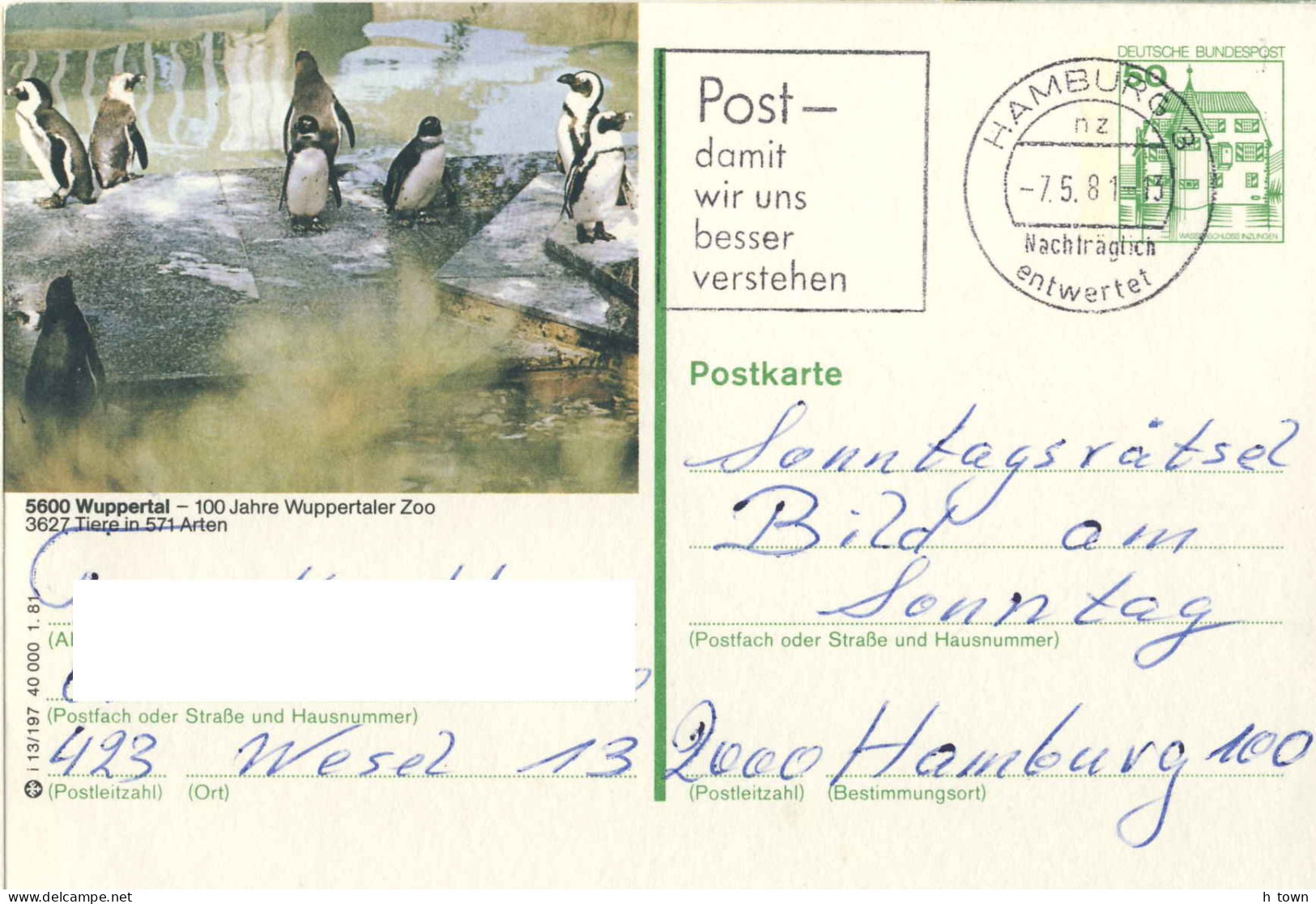 954  Manchot Pingouin: Entier (c.p.) D'Allemagne, 1981 - Wuppertal Zoo, Penguin Stationery Postcard From Germany - Pingouins & Manchots