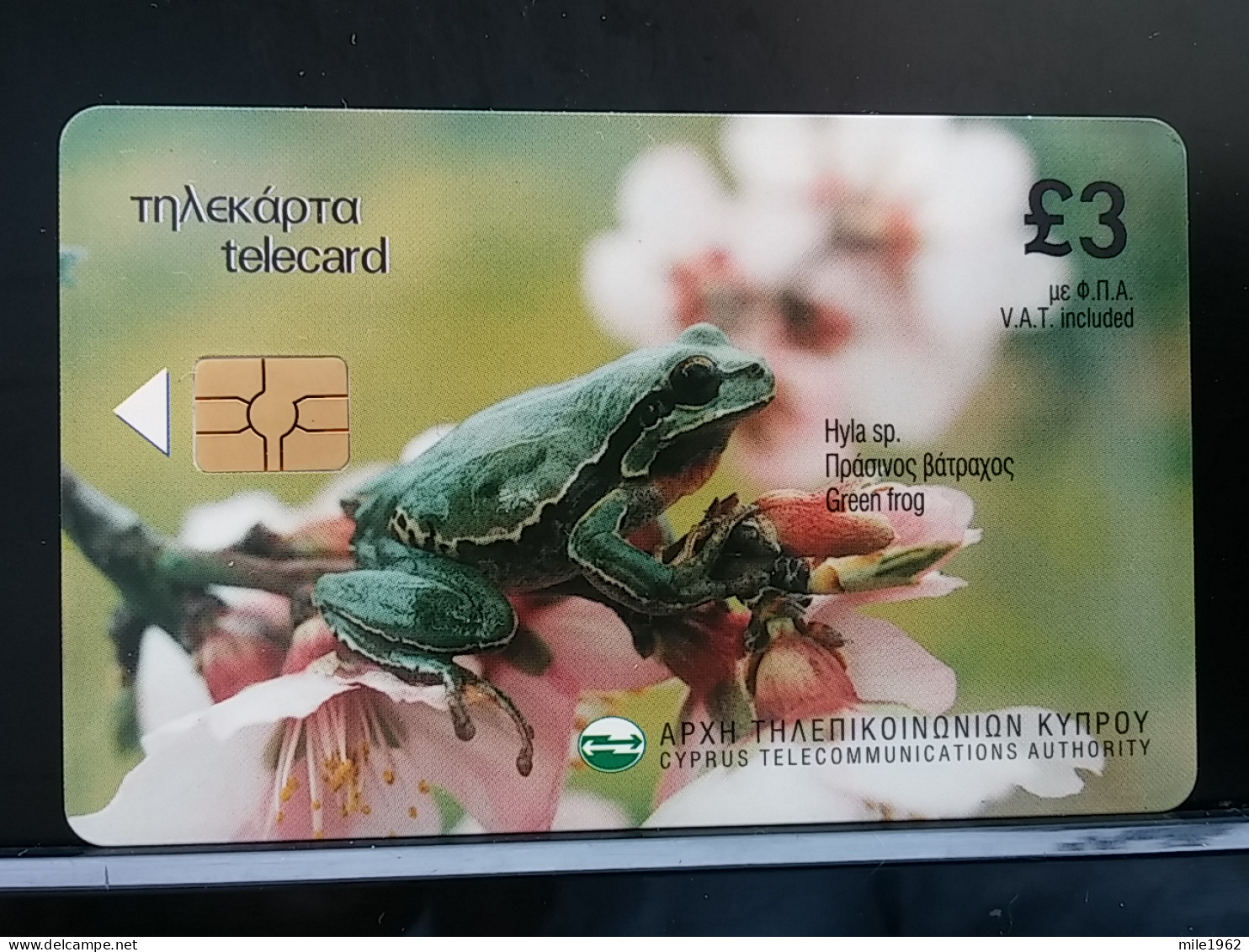 T-304 - CYPRUS TELECARD, PHONECARD, FROG, GRENOUILLE - Chypre