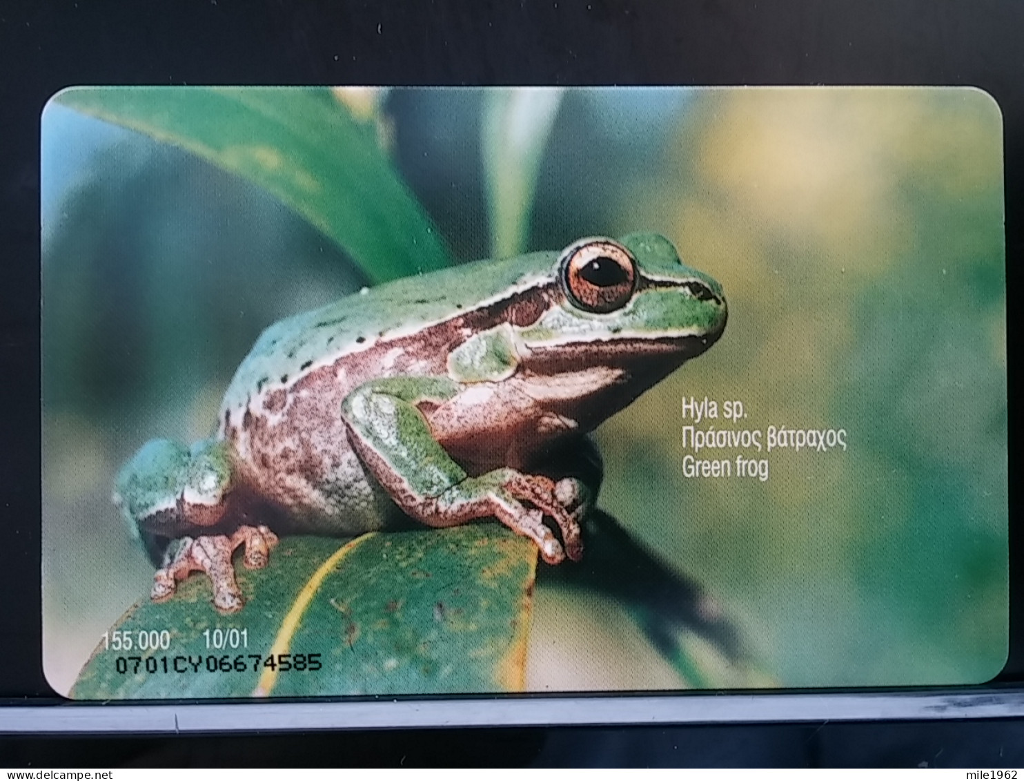 T-304 - CYPRUS TELECARD, PHONECARD, FROG, GRENOUILLE - Chipre