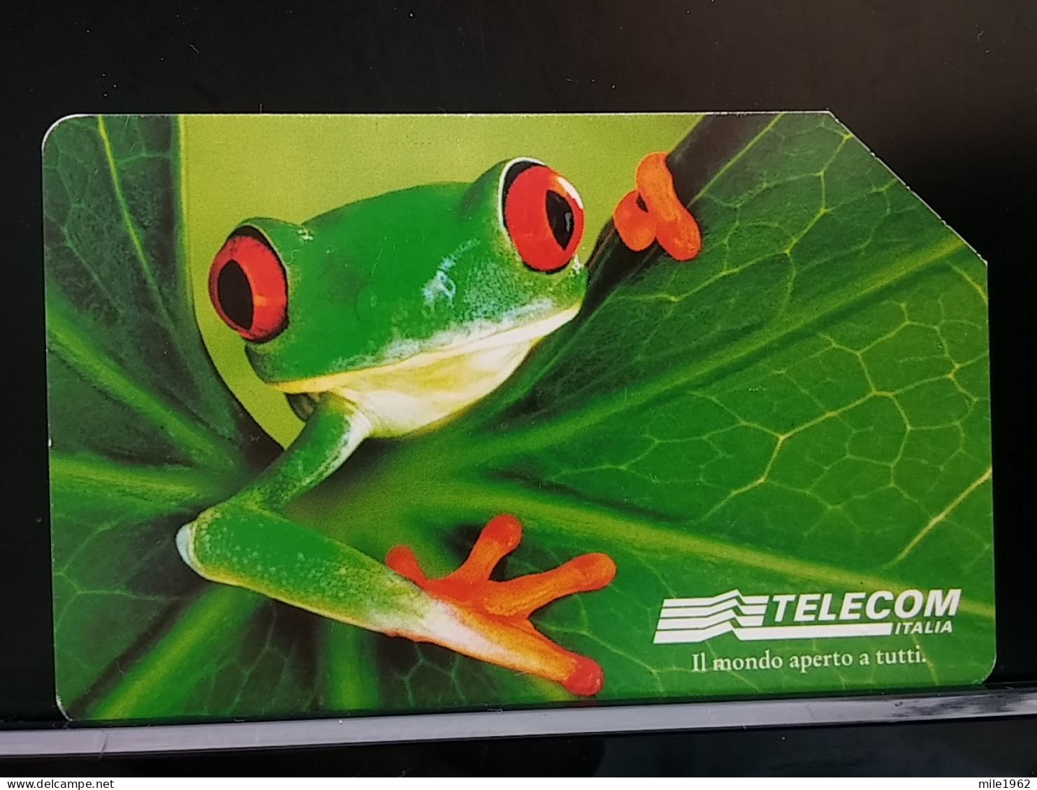 T-304 - ITALIA, ITALY TELECARD, PHONECARD, FROG, GRENOUILLE,  - Other & Unclassified