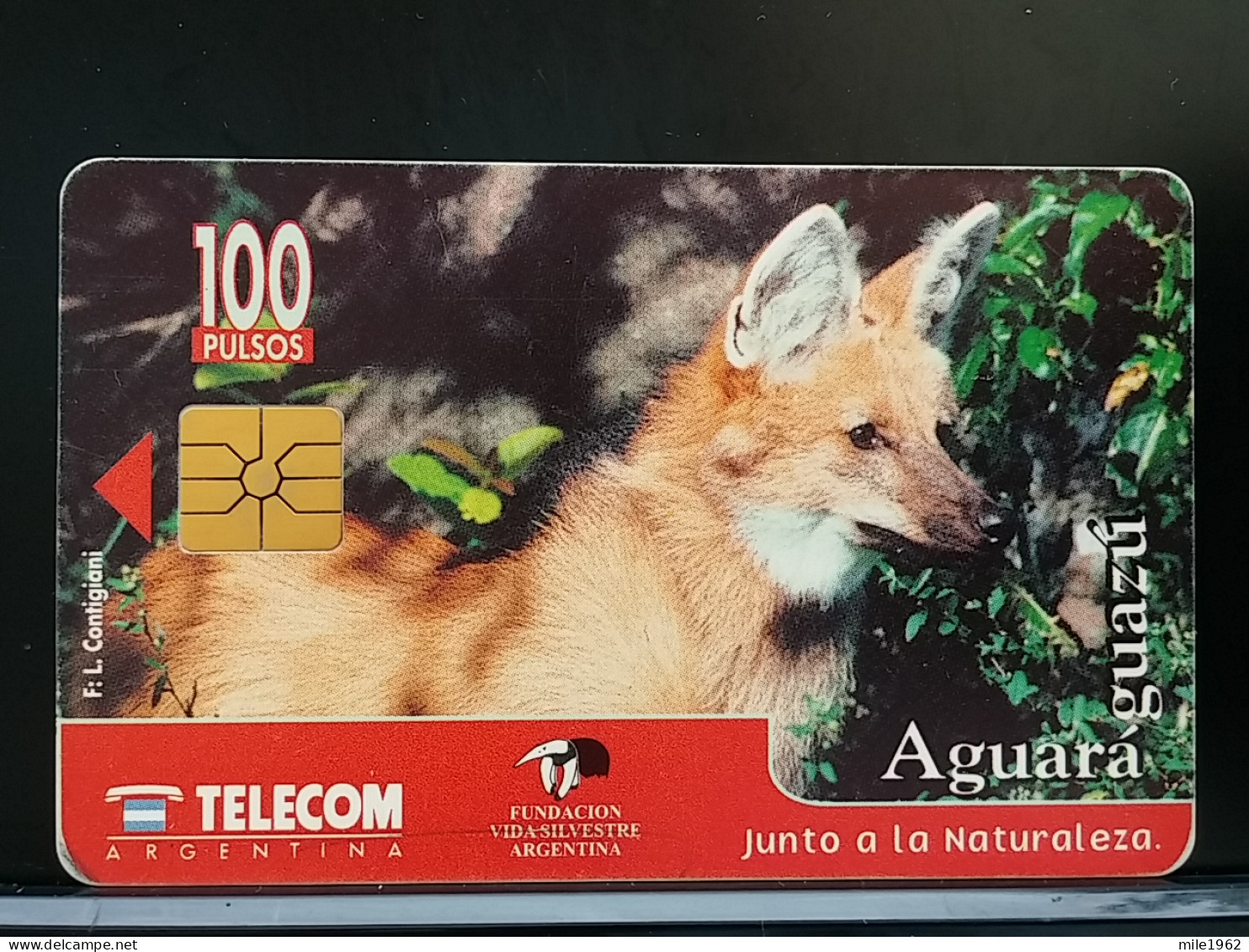 T-305 - ARGENTINA TELECARD, PHONECARD, FOX, RENARD - Argentinien