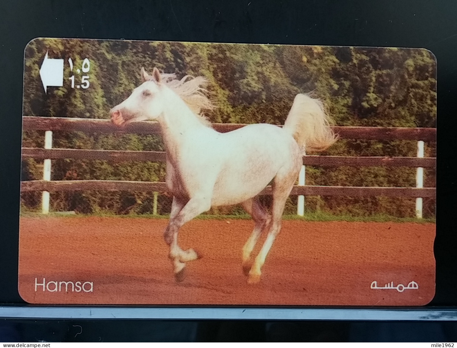 T-305 - OMAN TELECARD, PHONECARD, HORSE, CHEVAL - Oman