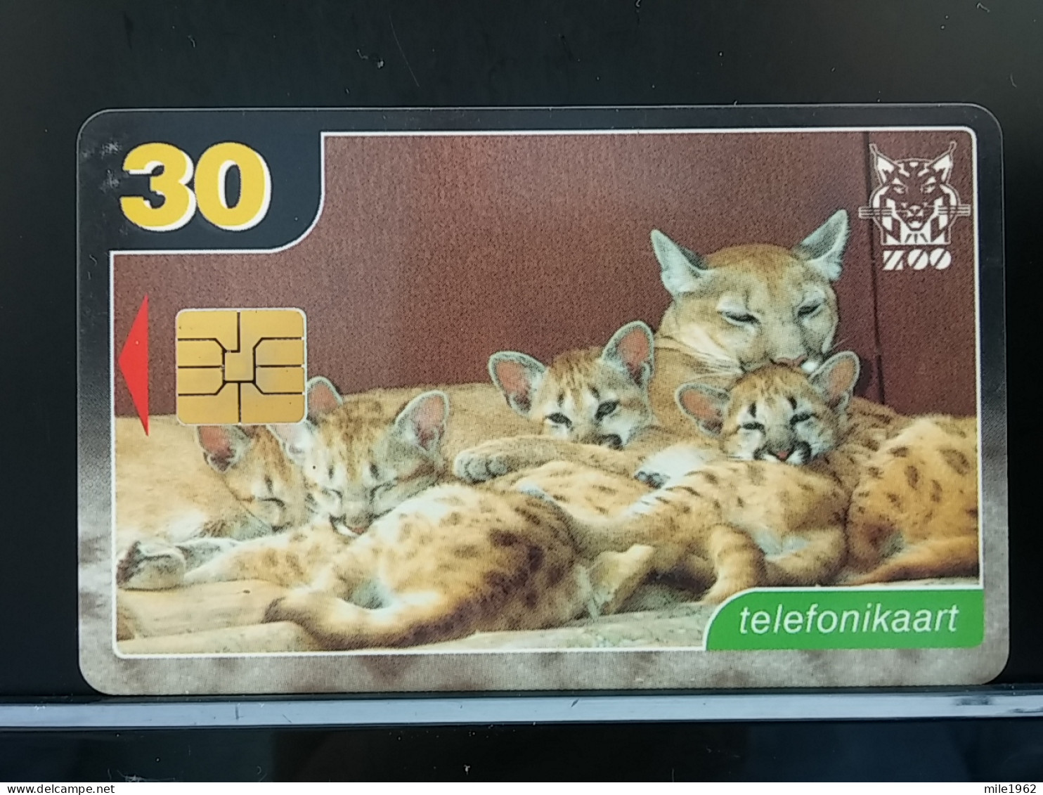 T-306 - ESTONIA TELECARD, PHONECARD, ANIMAL, TIGER, TIGRE - Estonia