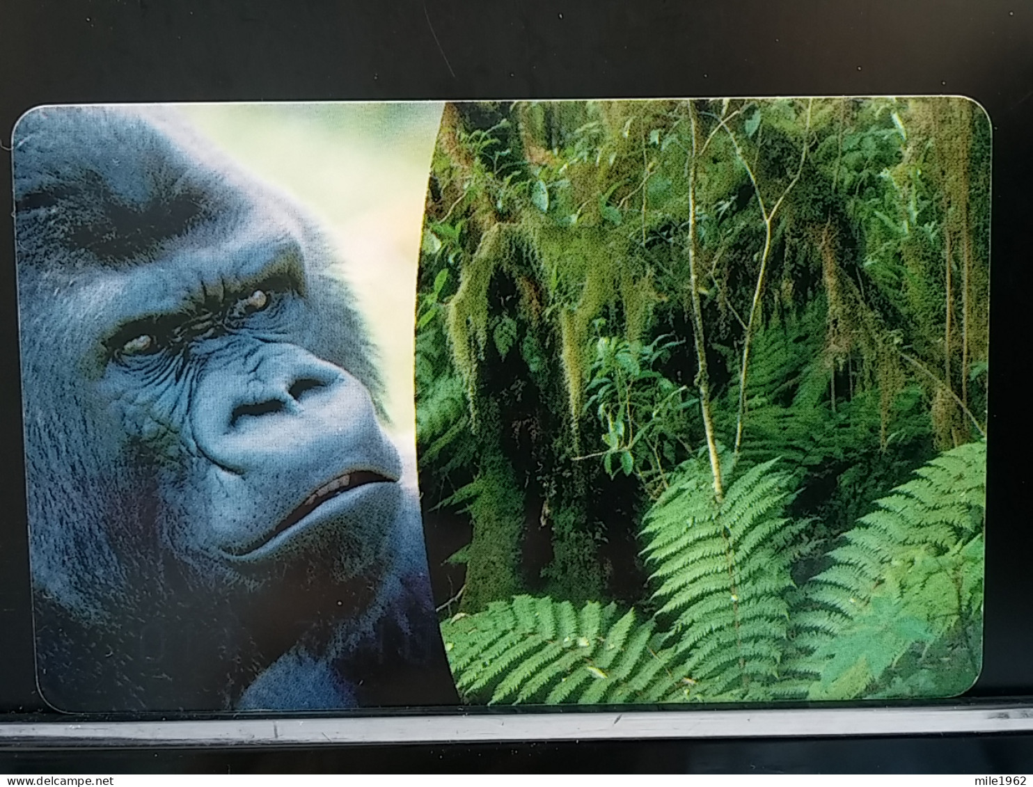 T-307 - GERMANY TELECARD, PHONECARD, ANIMAL, MONKEY, GORILLA - Sonstige & Ohne Zuordnung