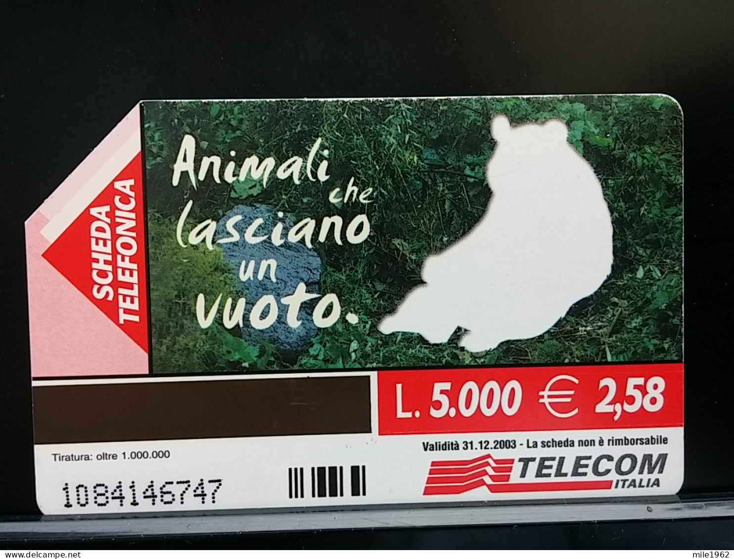 T-307 - ITALIA, ITALY TELECARD, PHONECARD, ANIMAL, BEAR, OURS PANDA - Andere & Zonder Classificatie