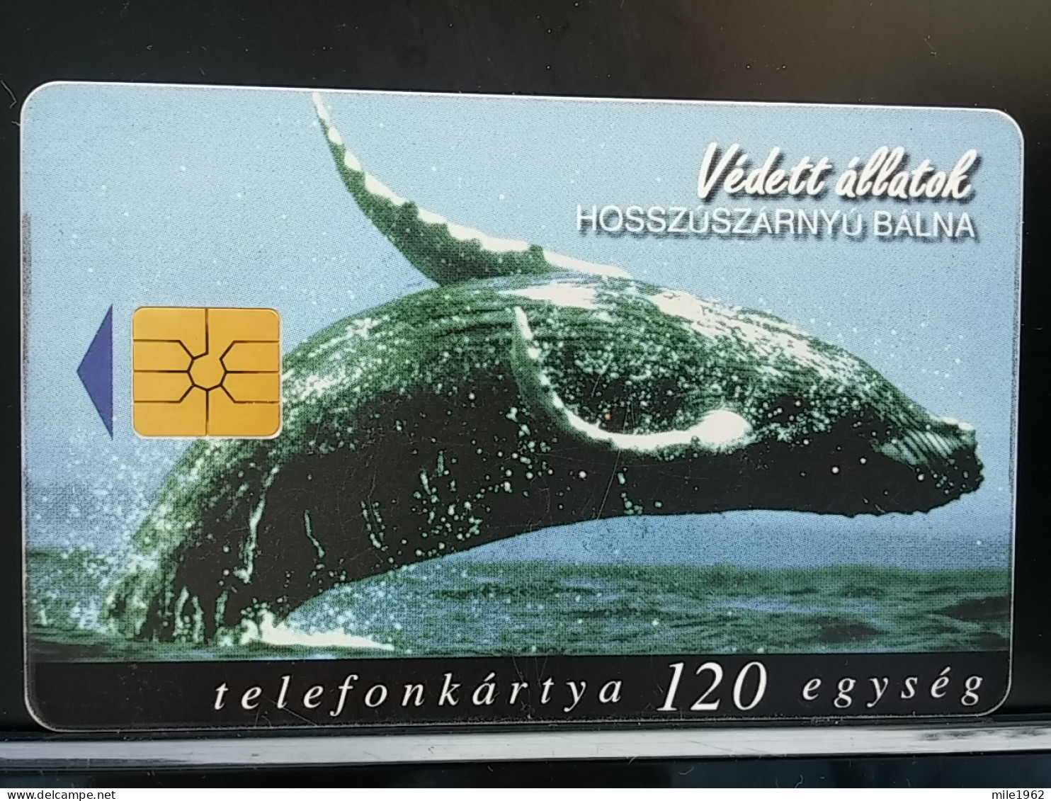 T-308 - HUNGARY TELECARD, PHONECARD, ANIMAL - Hongrie