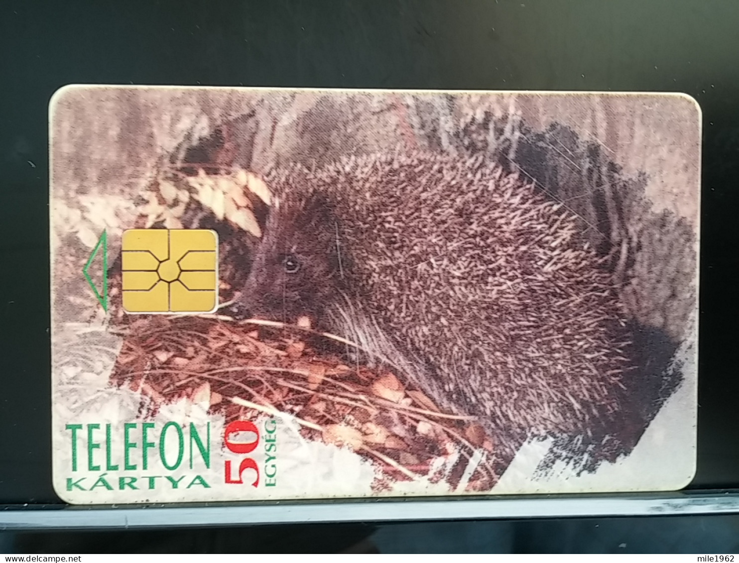 T-308 - HUNGARY TELECARD, PHONECARD, ANIMAL, HEDGEHOG, HÉRISSON - Ungheria