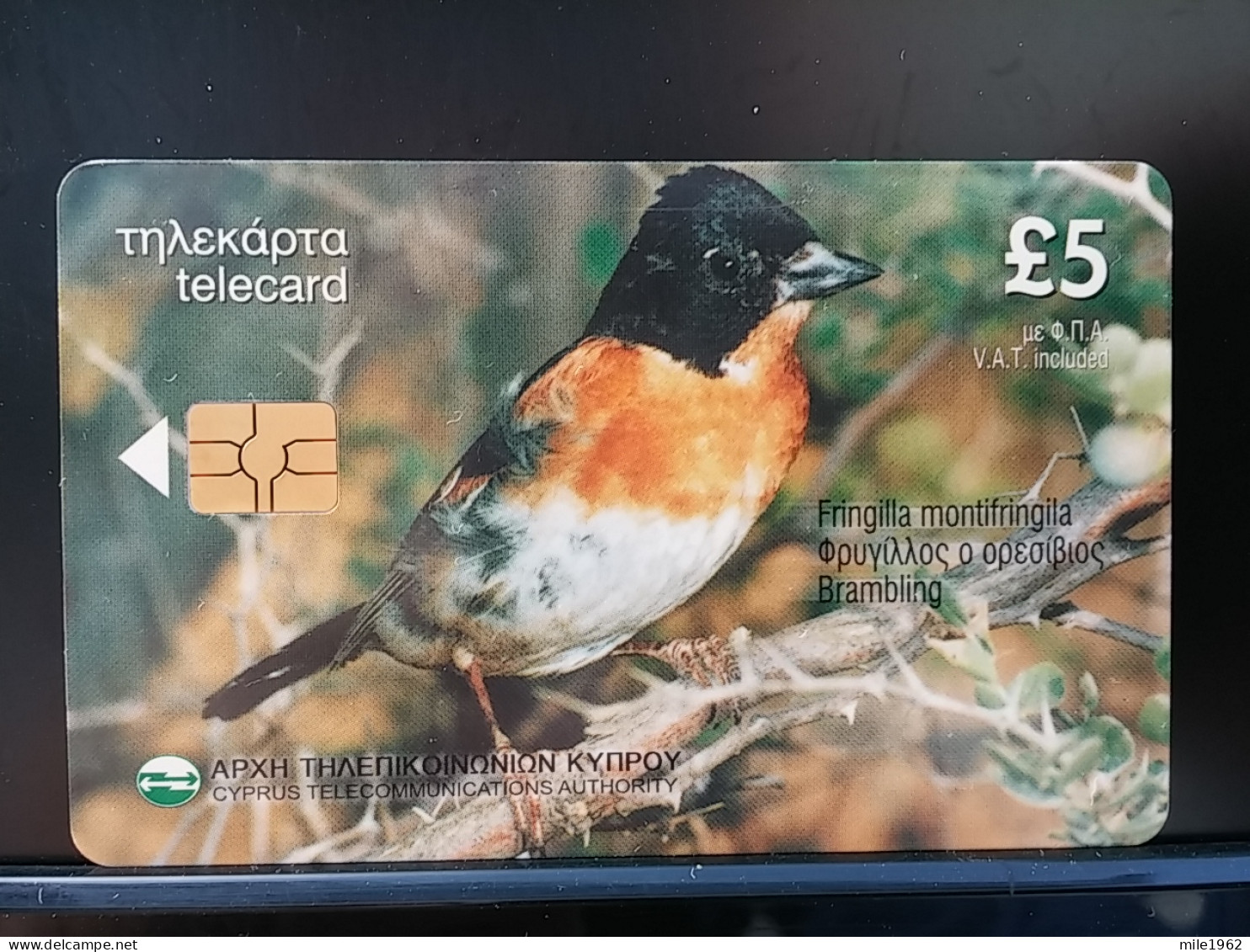 T-312 - CYPRUS TELECARD, PHONECARD, ANIMAL, BIRD, OISEAU,  - Chipre