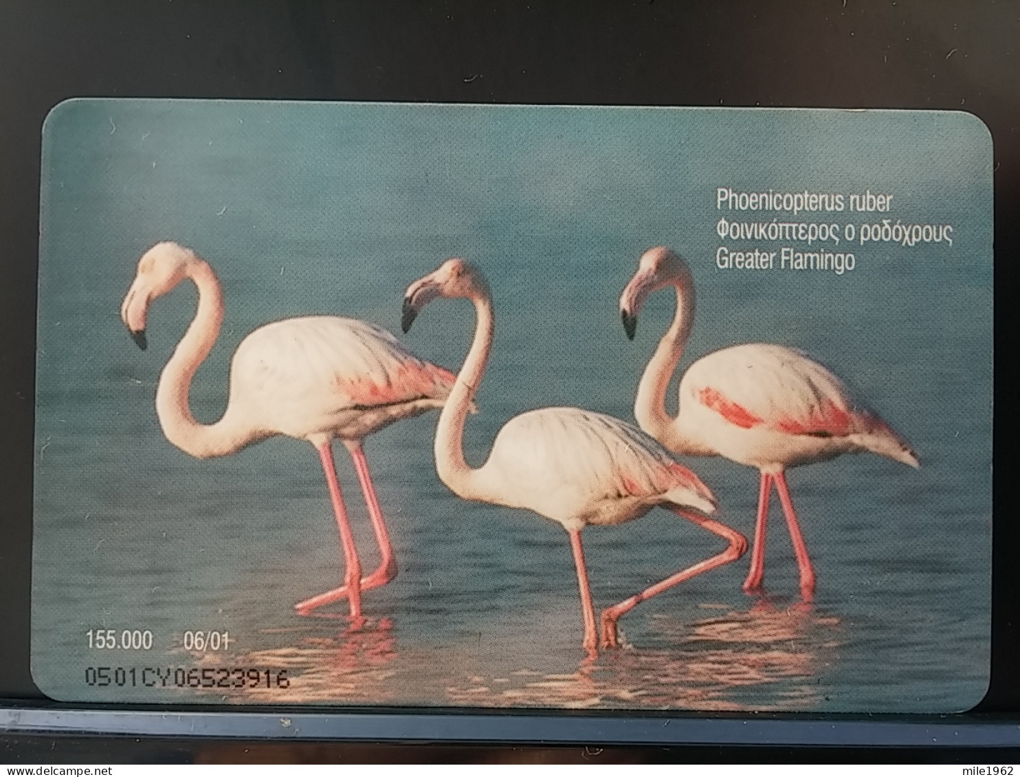 T-312 - CYPRUS TELECARD, PHONECARD, ANIMAL, BIRD, OISEAU, FLAMINGO, FLAMENGO - Cyprus